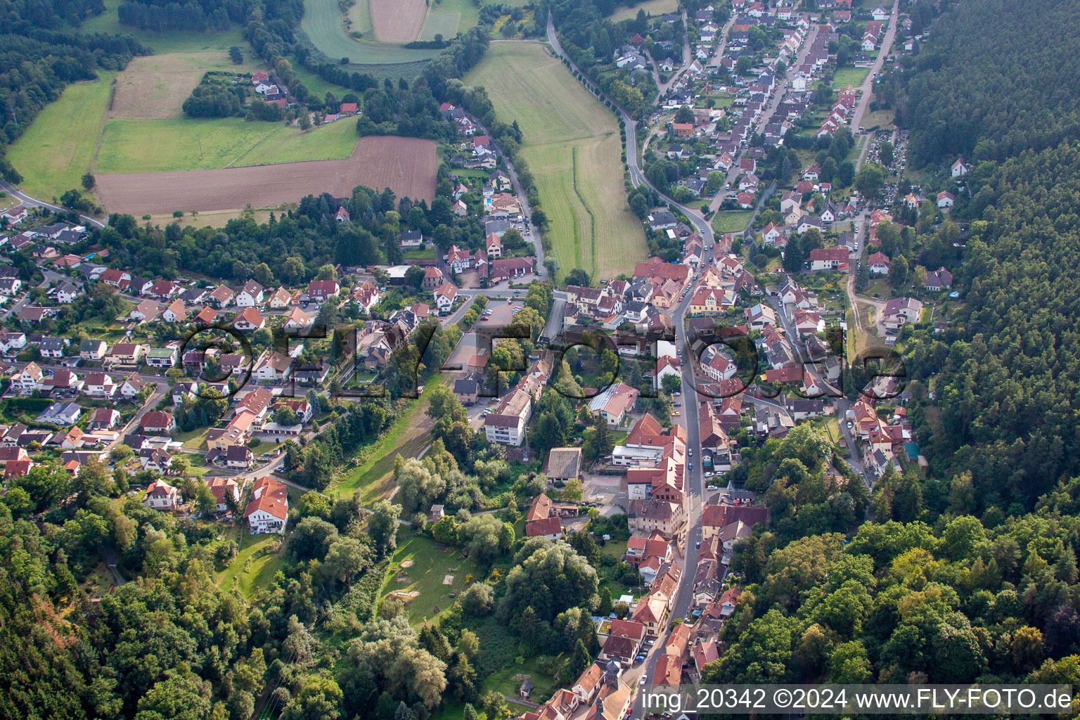 Vue oblique de Altleiningen dans le département Rhénanie-Palatinat, Allemagne