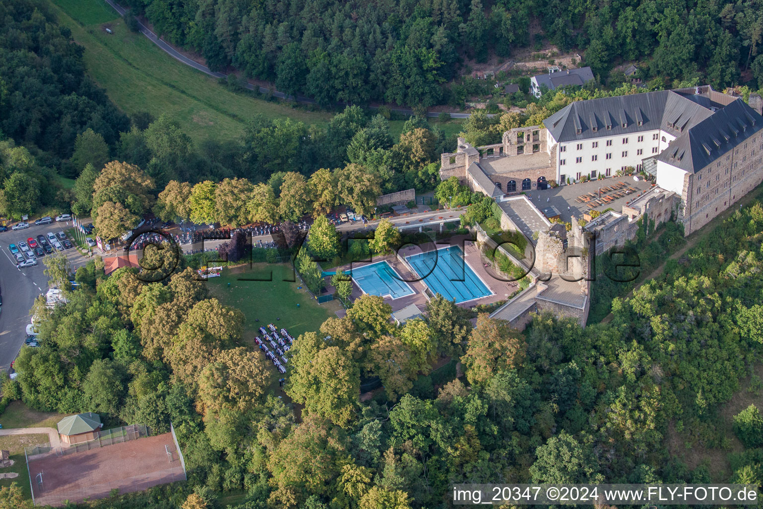 Vue aérienne de Complexe du château de l'auberge de jeunesse du château Altleiningen dans le quartier de Höningen à Altleiningen dans le département Rhénanie-Palatinat, Allemagne