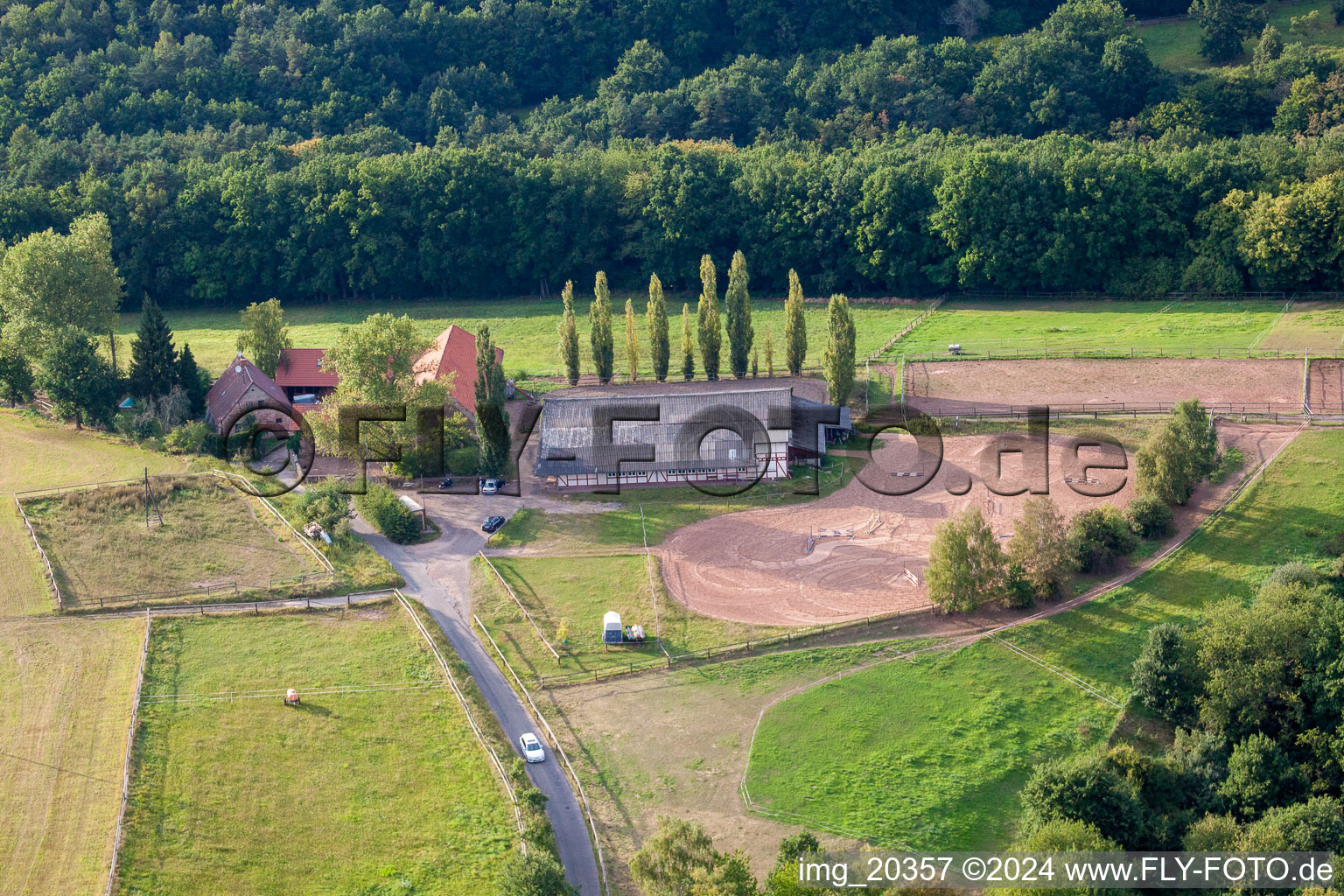 Altleiningen dans le département Rhénanie-Palatinat, Allemagne depuis l'avion