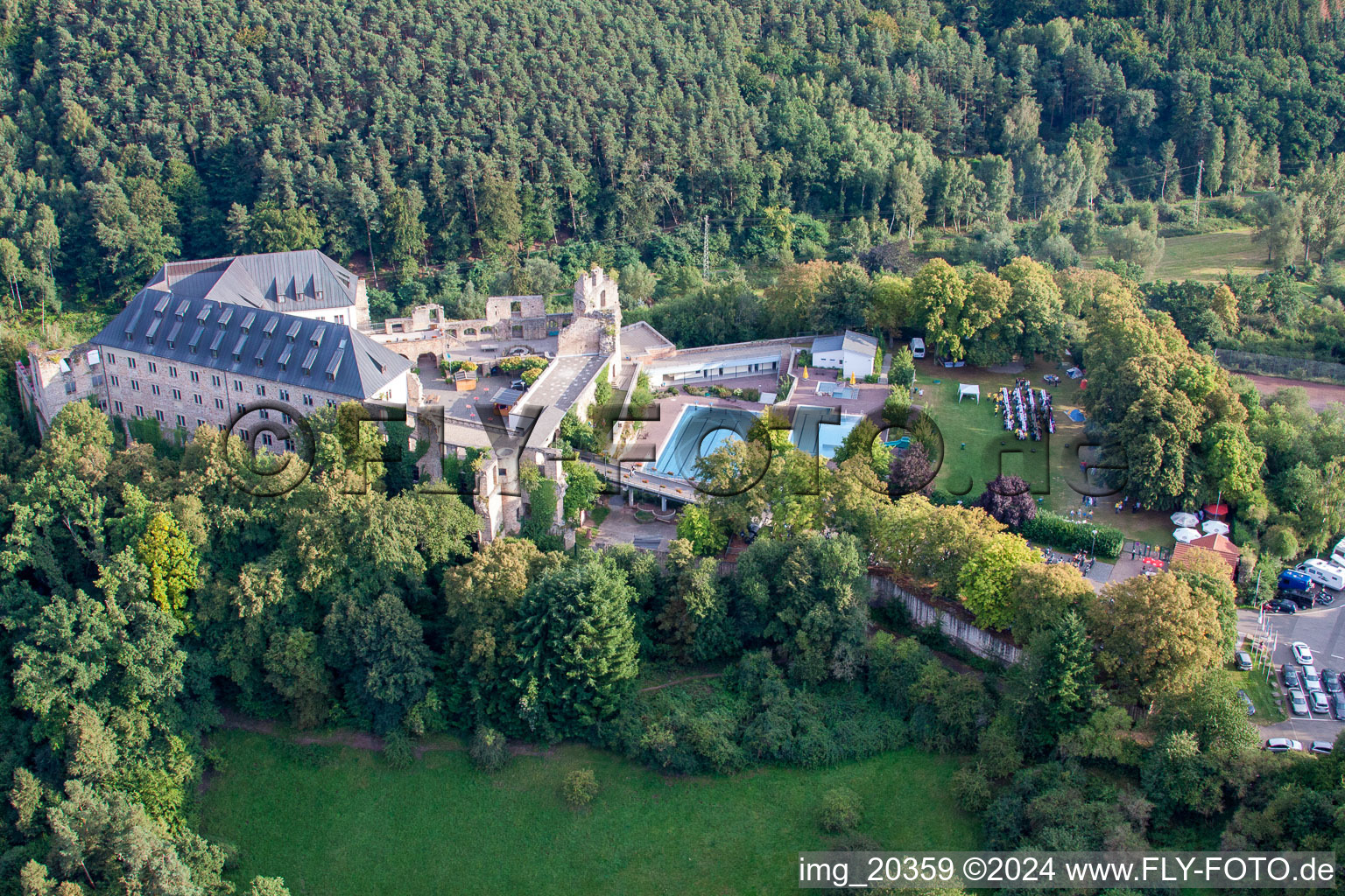 Vue d'oiseau de Altleiningen dans le département Rhénanie-Palatinat, Allemagne