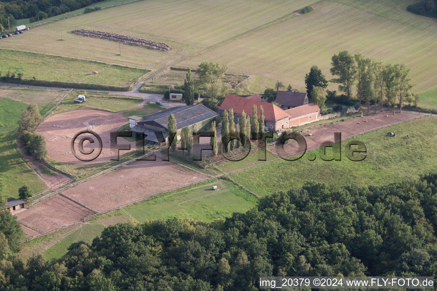 Vue aérienne de Propriété d'une ferme-jardin dans le quartier de Höningen à Altleiningen dans le département Rhénanie-Palatinat, Allemagne