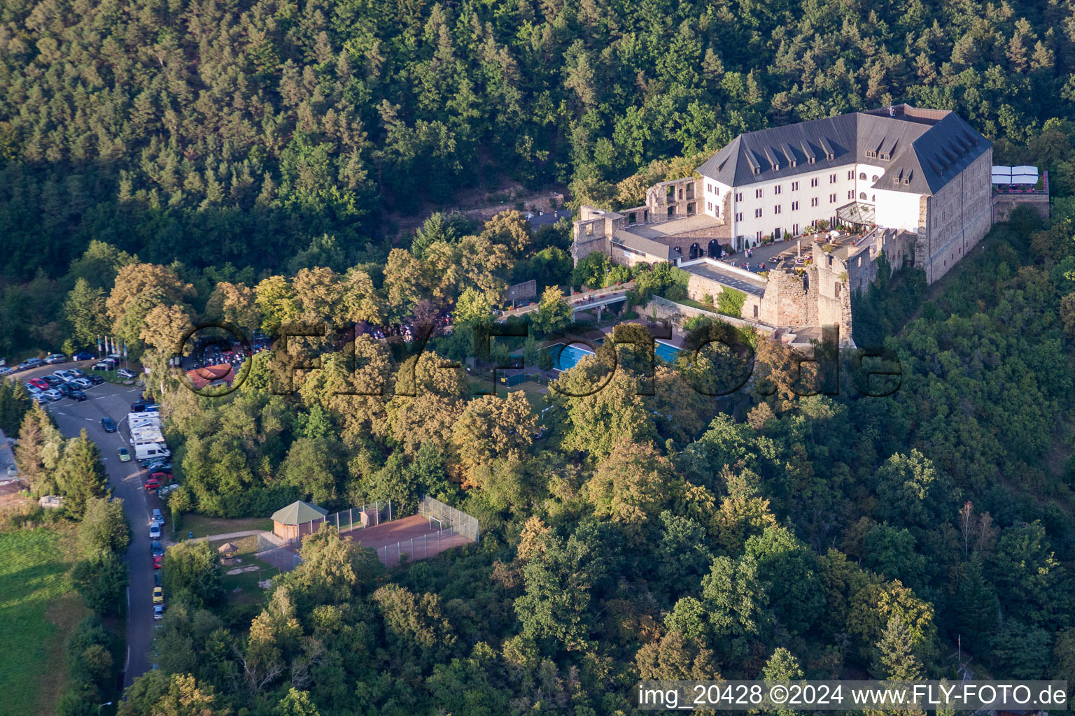 Photographie aérienne de Altleiningen dans le département Rhénanie-Palatinat, Allemagne