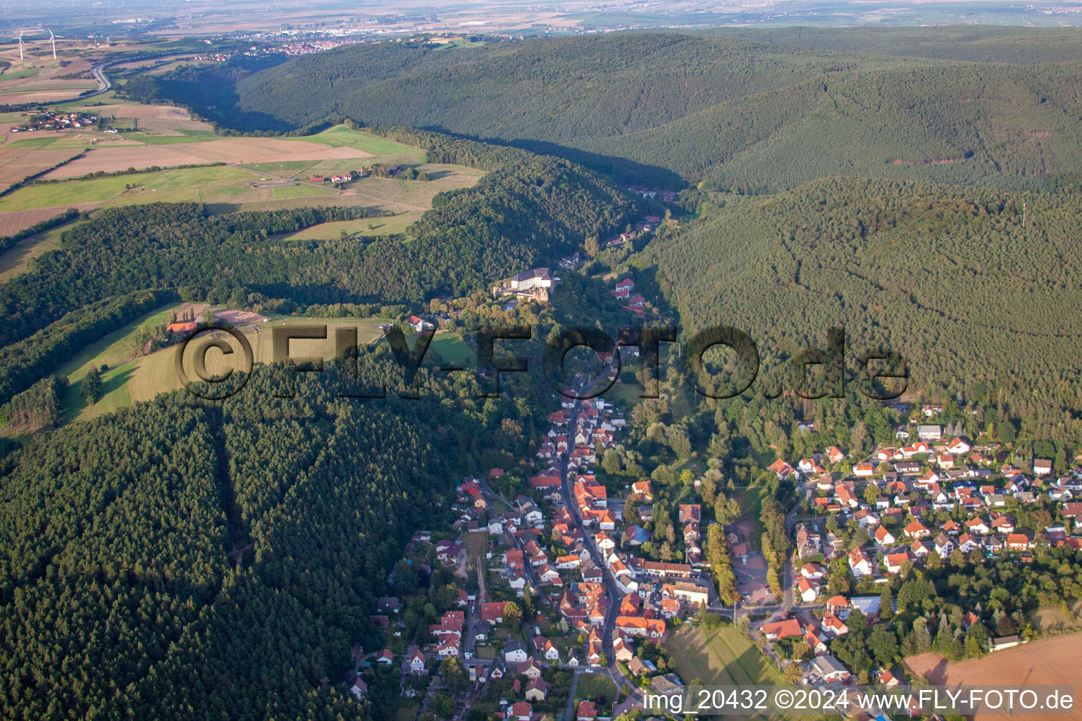 Vue aérienne de Quartier de Höningen à Altleiningen dans le département Rhénanie-Palatinat, Allemagne