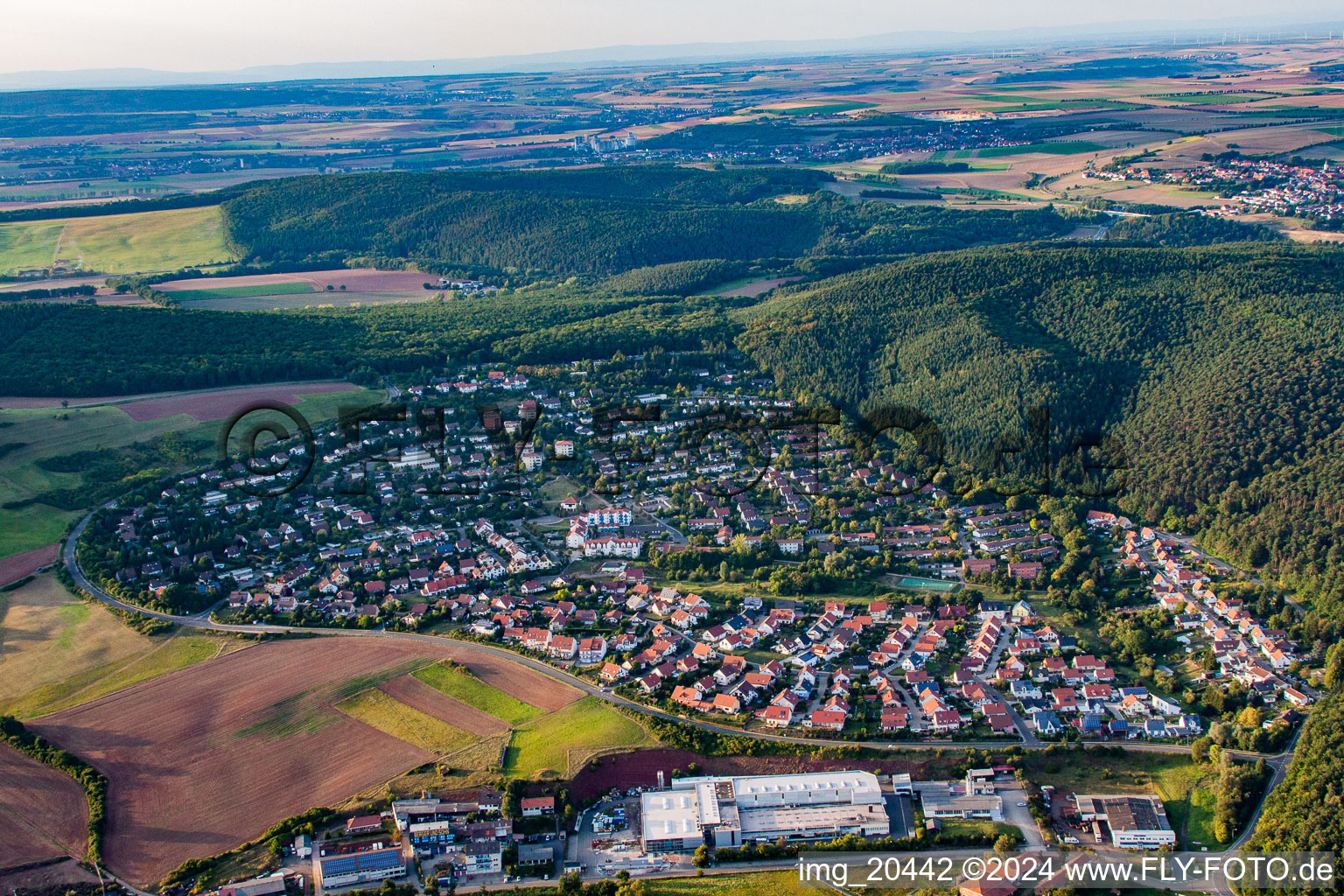 Vue aérienne de Quartier Steinborn in Eisenberg dans le département Rhénanie-Palatinat, Allemagne