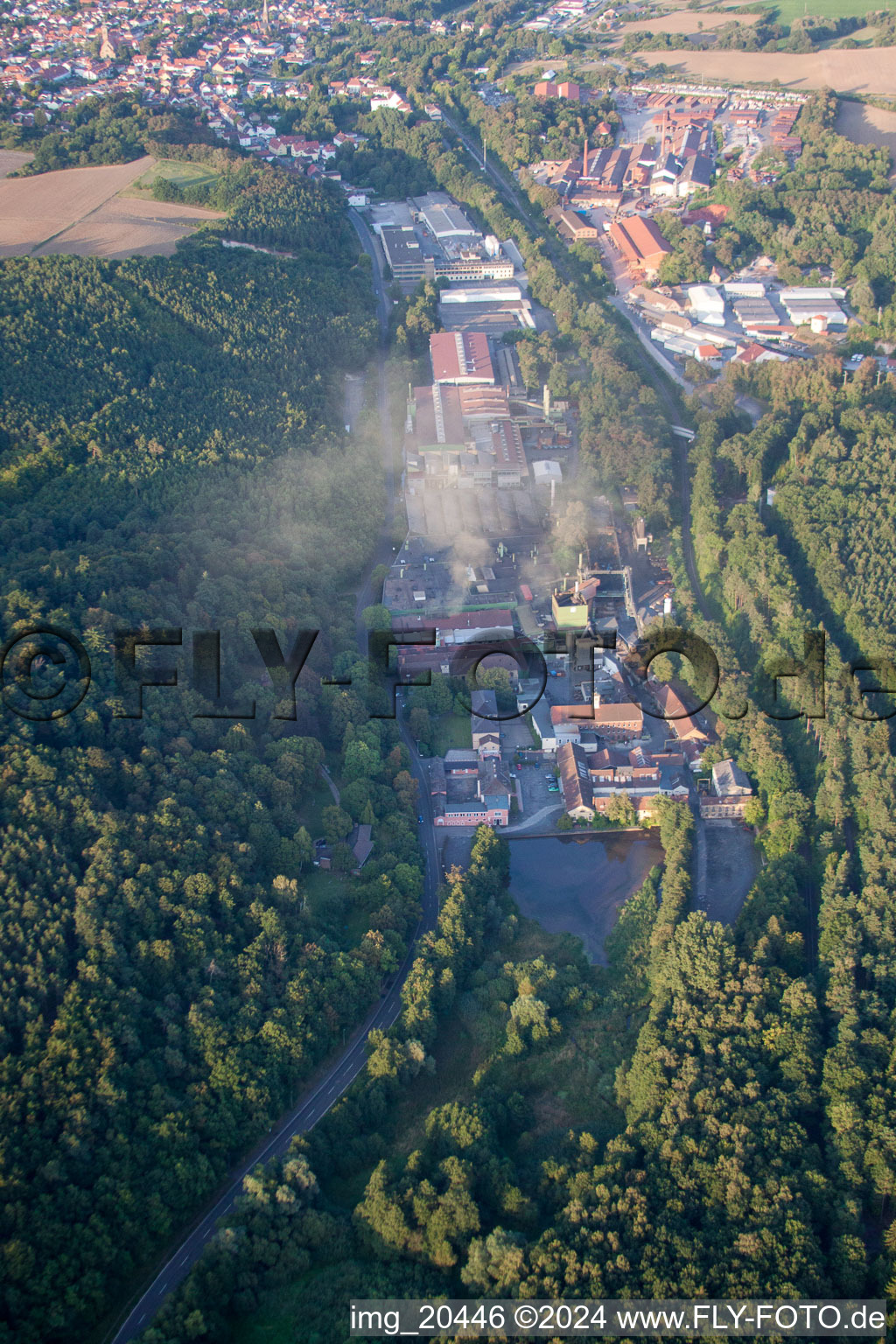 Vue aérienne de Fonderie de fer Gebr. Gienanth Eisenberg GmbH à Eisenberg dans le département Rhénanie-Palatinat, Allemagne