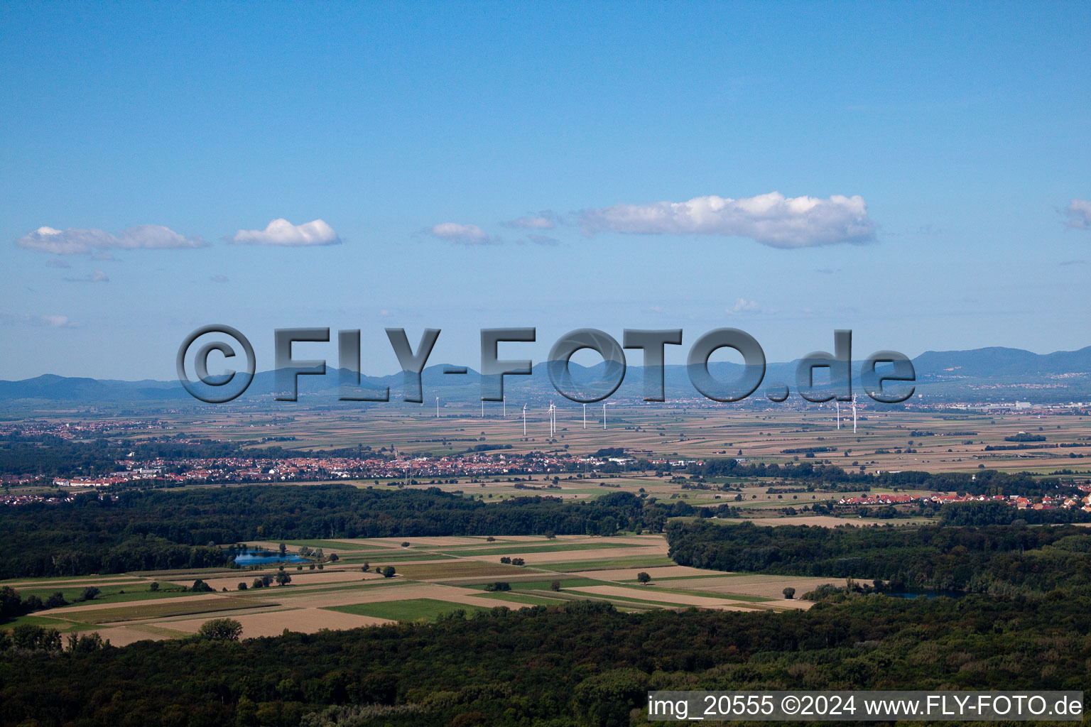 Vue aérienne de Structures dans les champs agricoles à Rülzheim dans le département Rhénanie-Palatinat, Allemagne