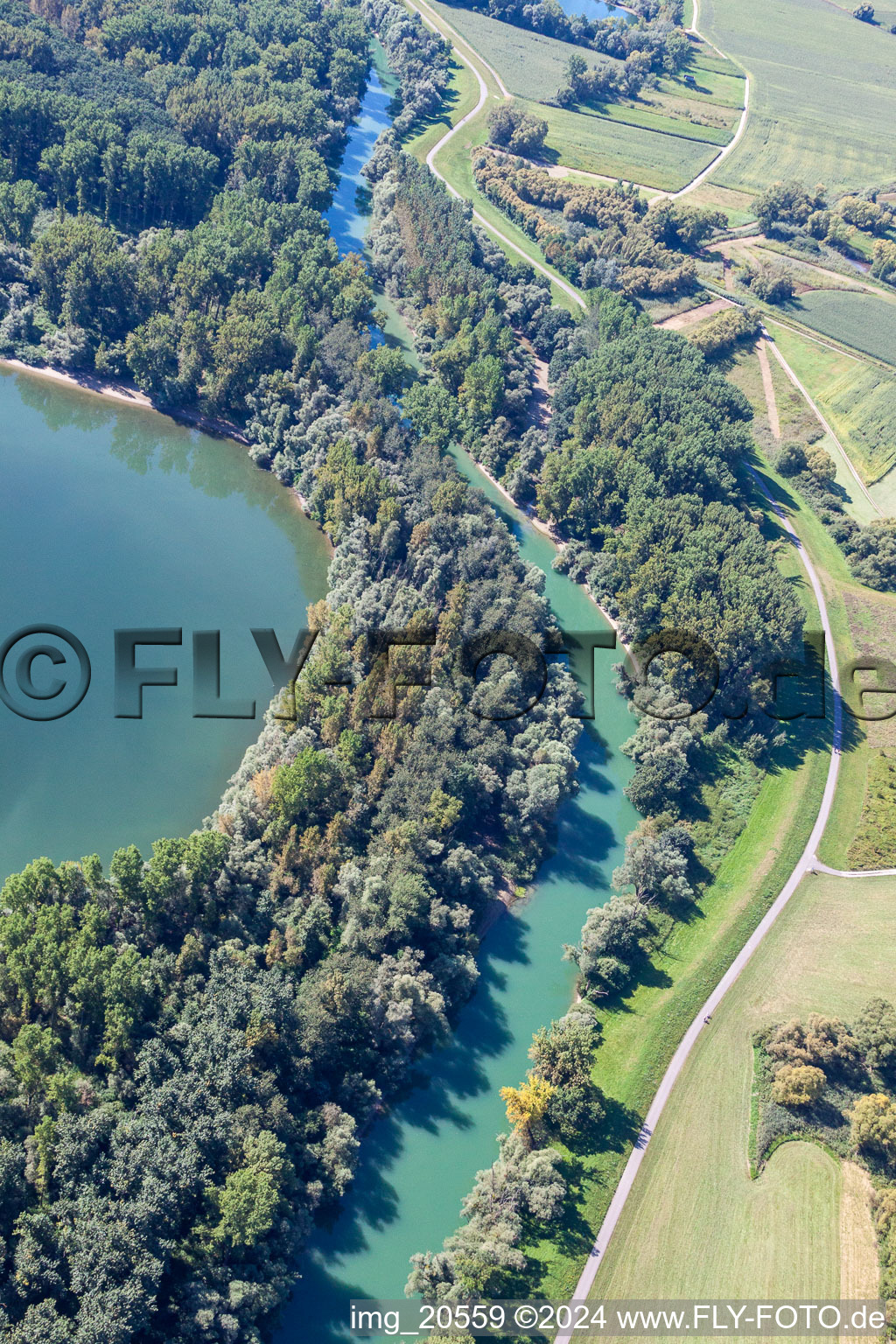 Leimersheim dans le département Rhénanie-Palatinat, Allemagne vue d'en haut