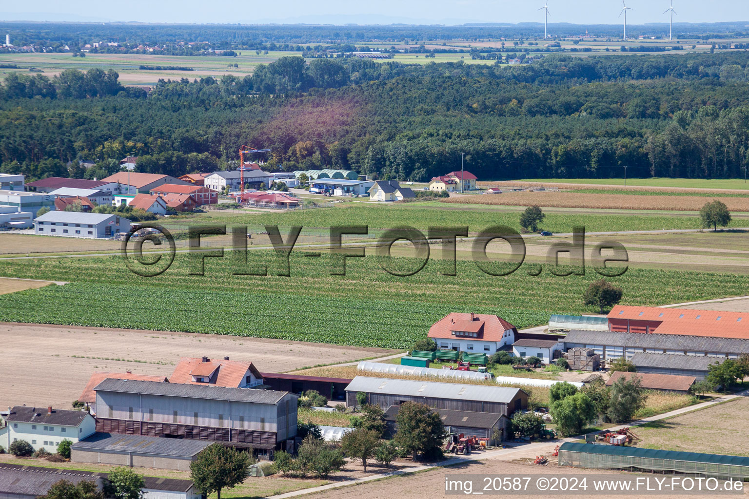 Enregistrement par drone de Hatzenbühl dans le département Rhénanie-Palatinat, Allemagne