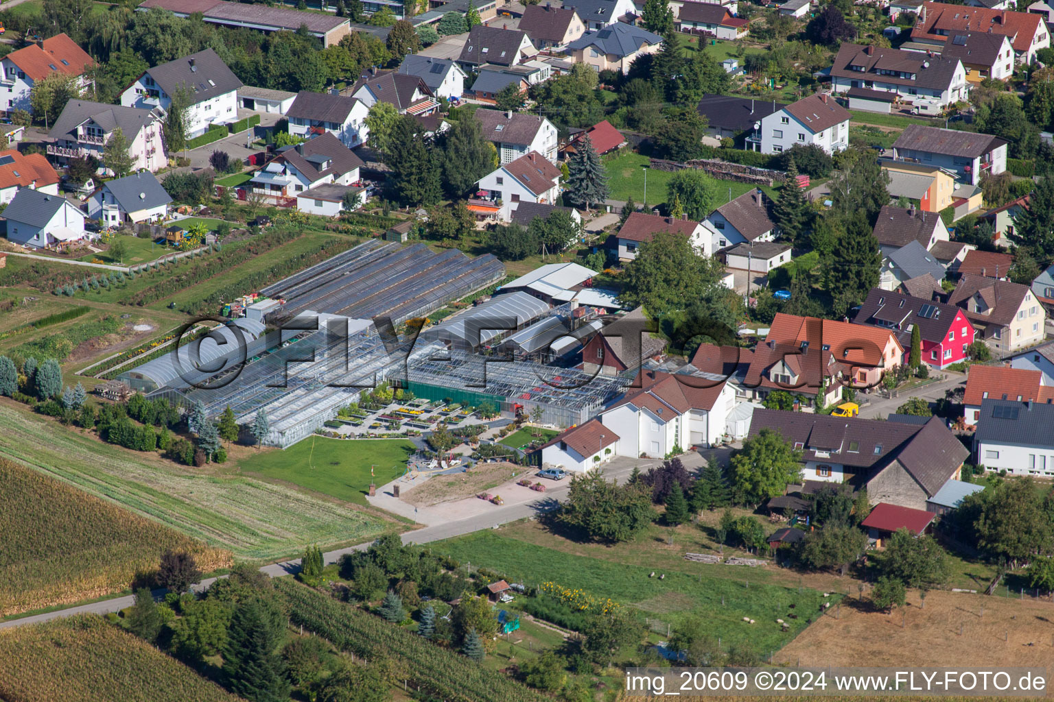 Vue aérienne de Zones de toit en verre dans les rangées de serres pour la culture de fleurs au 1A Gartet Hopp à le quartier Bodersweier in Kehl dans le département Bade-Wurtemberg, Allemagne