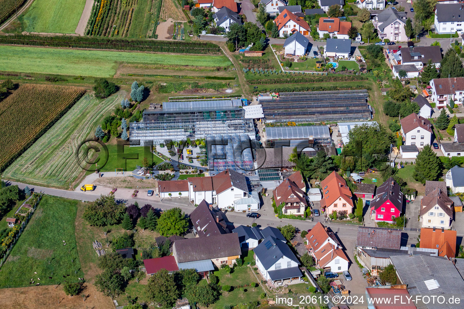 Vue aérienne de 1A Jardin Hopp à le quartier Bodersweier in Kehl dans le département Bade-Wurtemberg, Allemagne