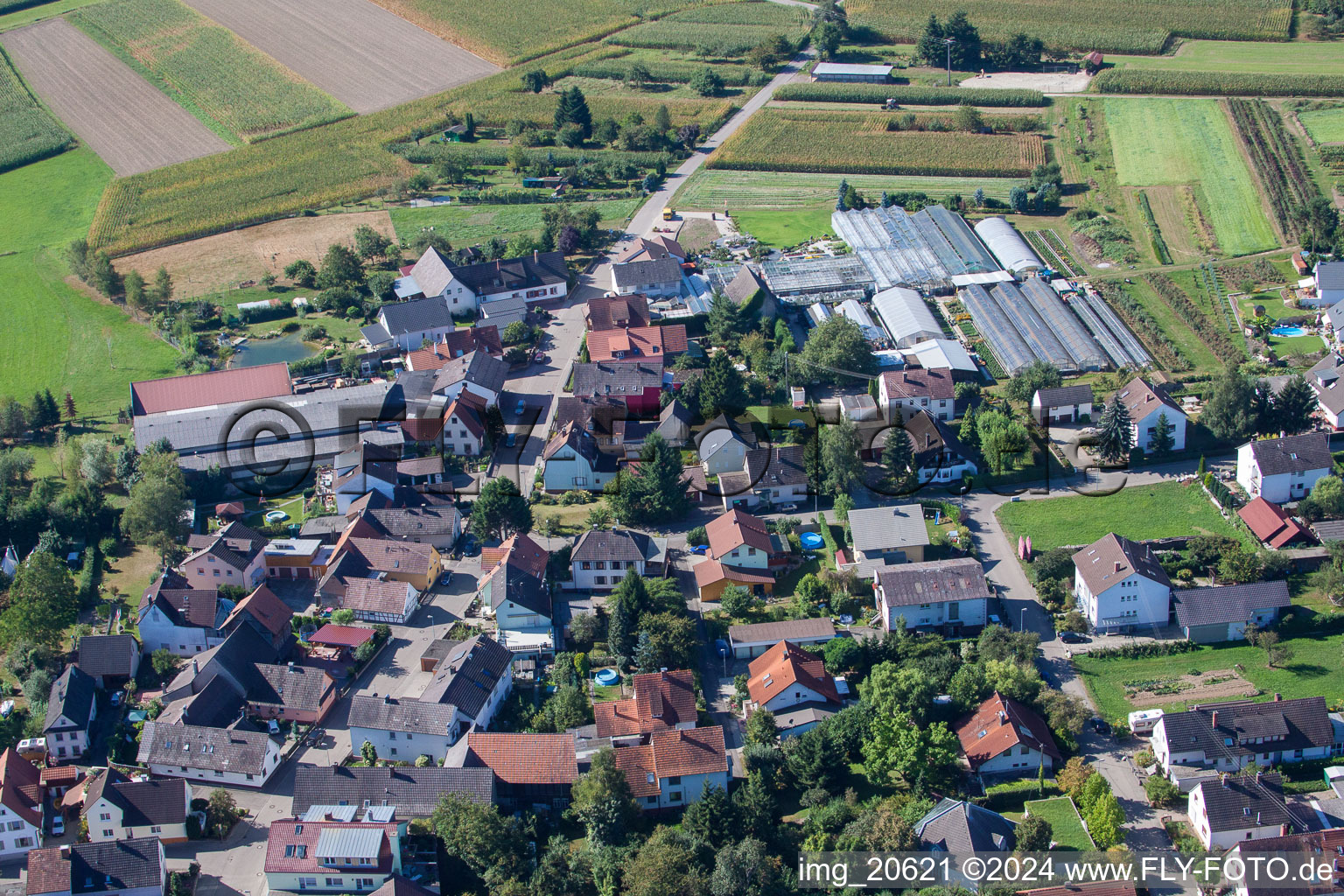 Vue aérienne de Vue sur le village à le quartier Bodersweier in Kehl dans le département Bade-Wurtemberg, Allemagne