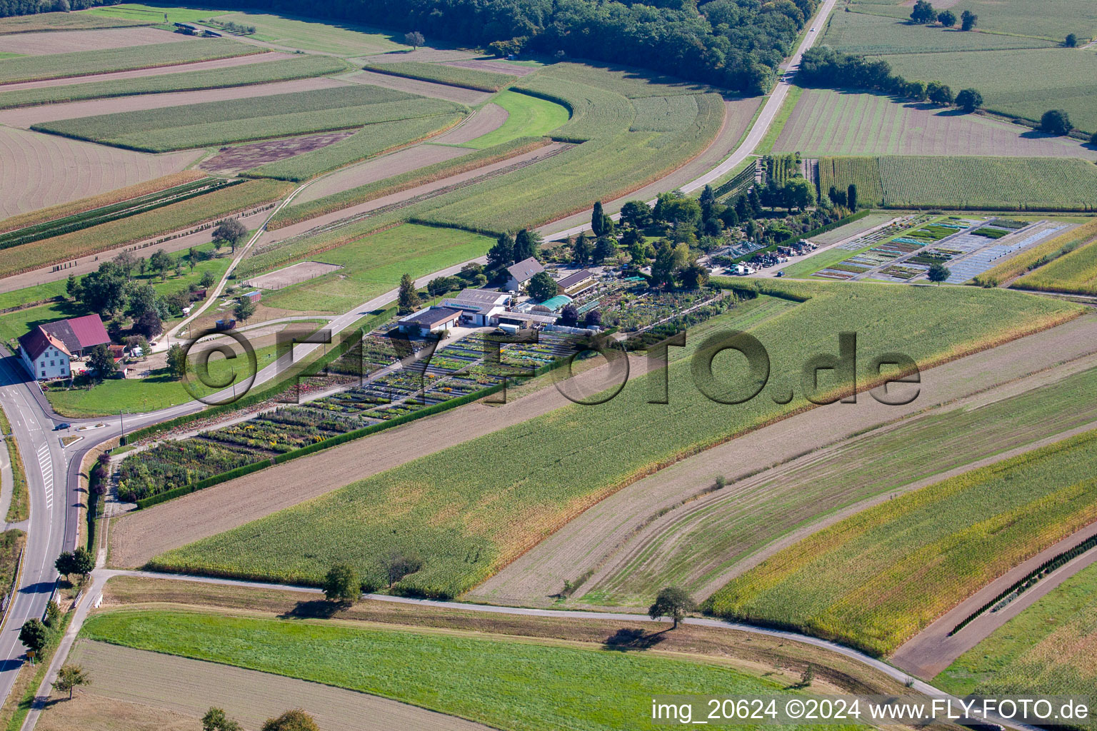 Vue aérienne de Temps de jardin noir à le quartier Bodersweier in Kehl dans le département Bade-Wurtemberg, Allemagne