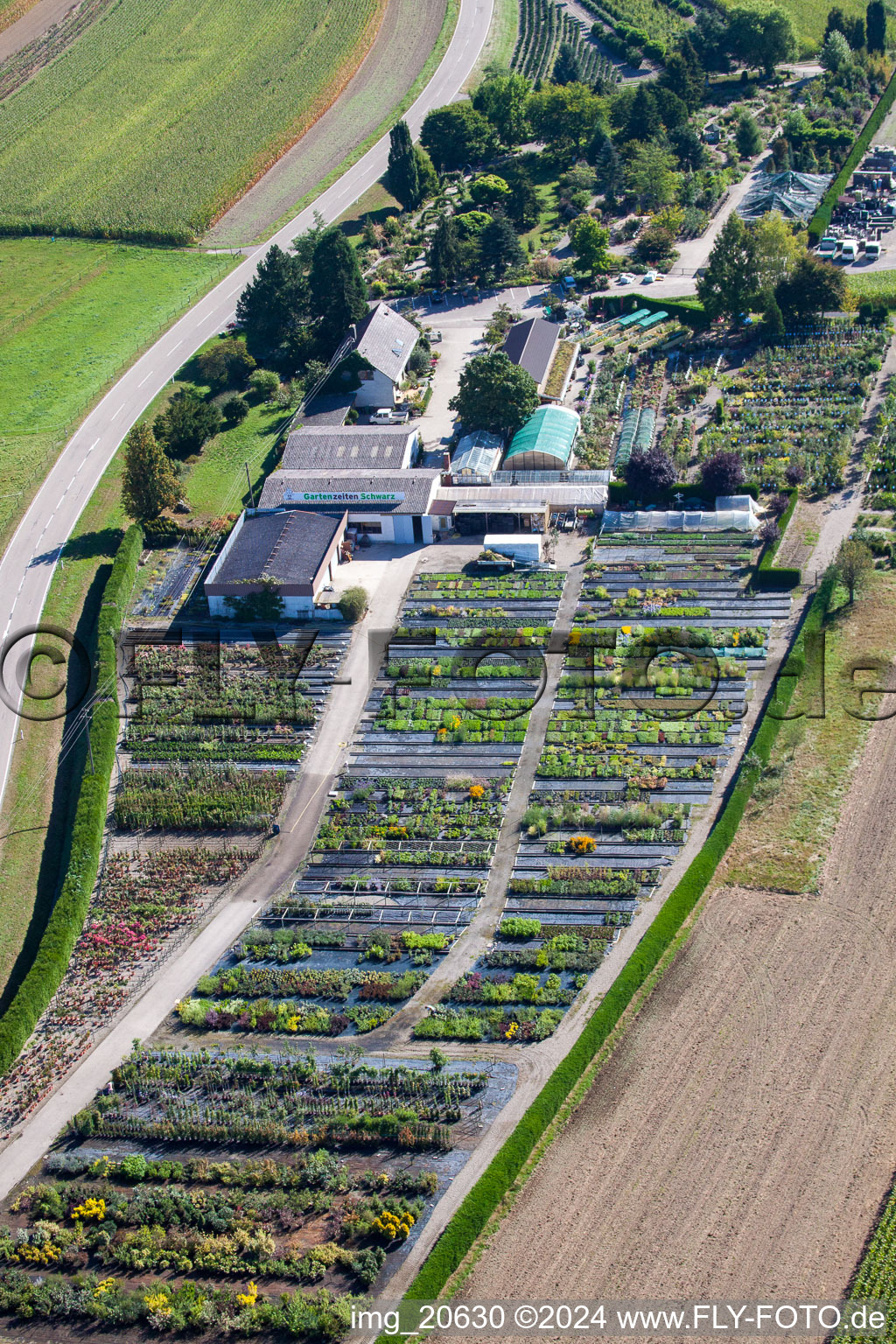 Vue aérienne de Zones de toit en verre dans les rangées de serres pour faire pousser des fleurs de Garden Times Black à le quartier Bodersweier in Kehl dans le département Bade-Wurtemberg, Allemagne