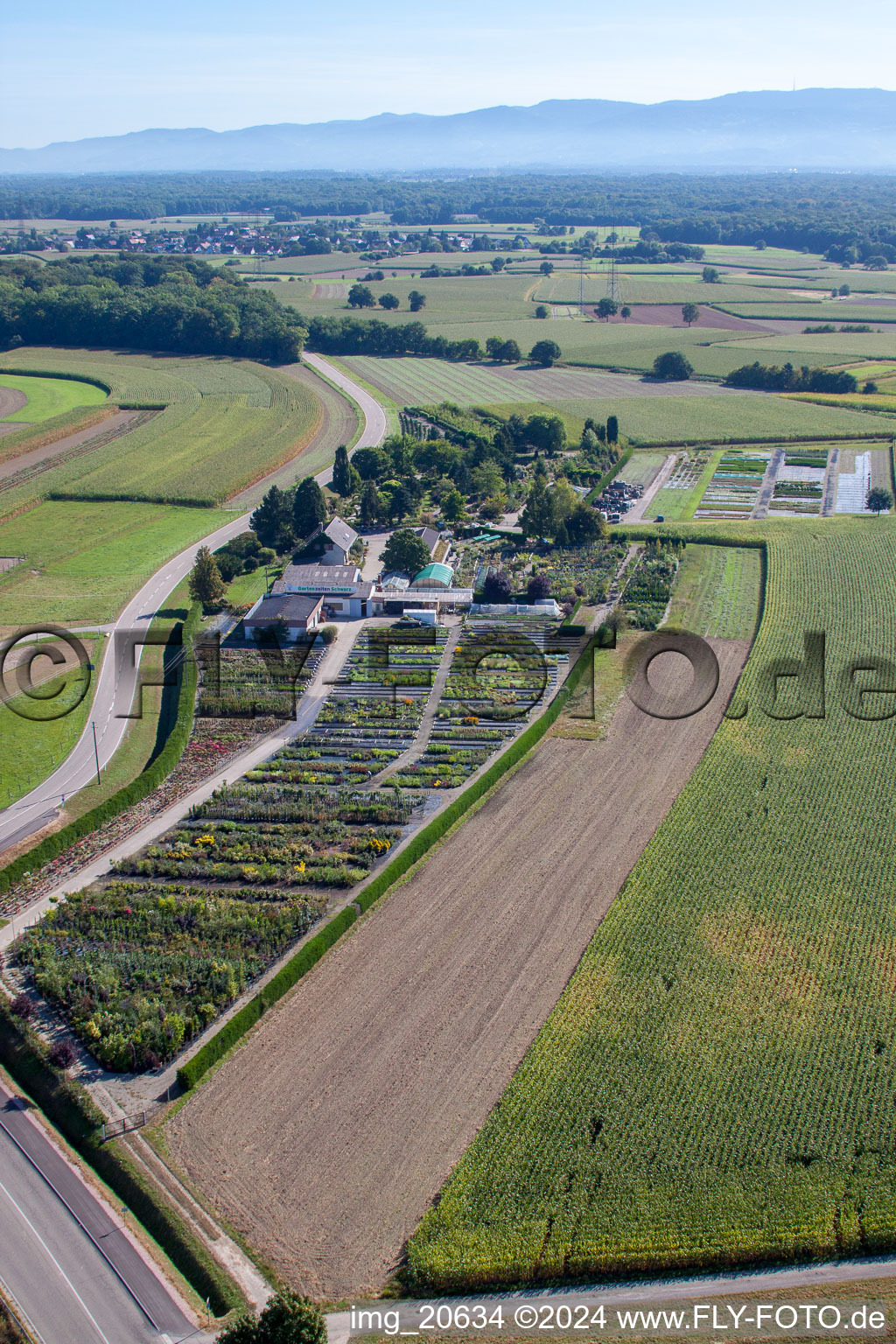 Vue oblique de Temps de jardin noir à le quartier Bodersweier in Kehl dans le département Bade-Wurtemberg, Allemagne