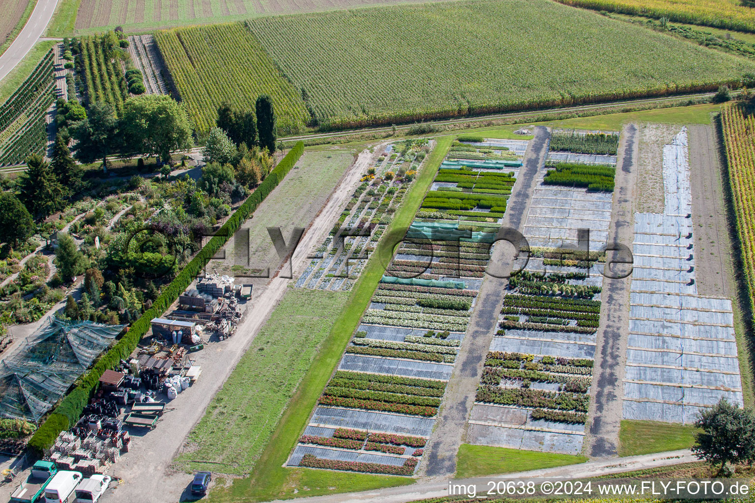 Temps de jardin noir à le quartier Bodersweier in Kehl dans le département Bade-Wurtemberg, Allemagne vue d'en haut