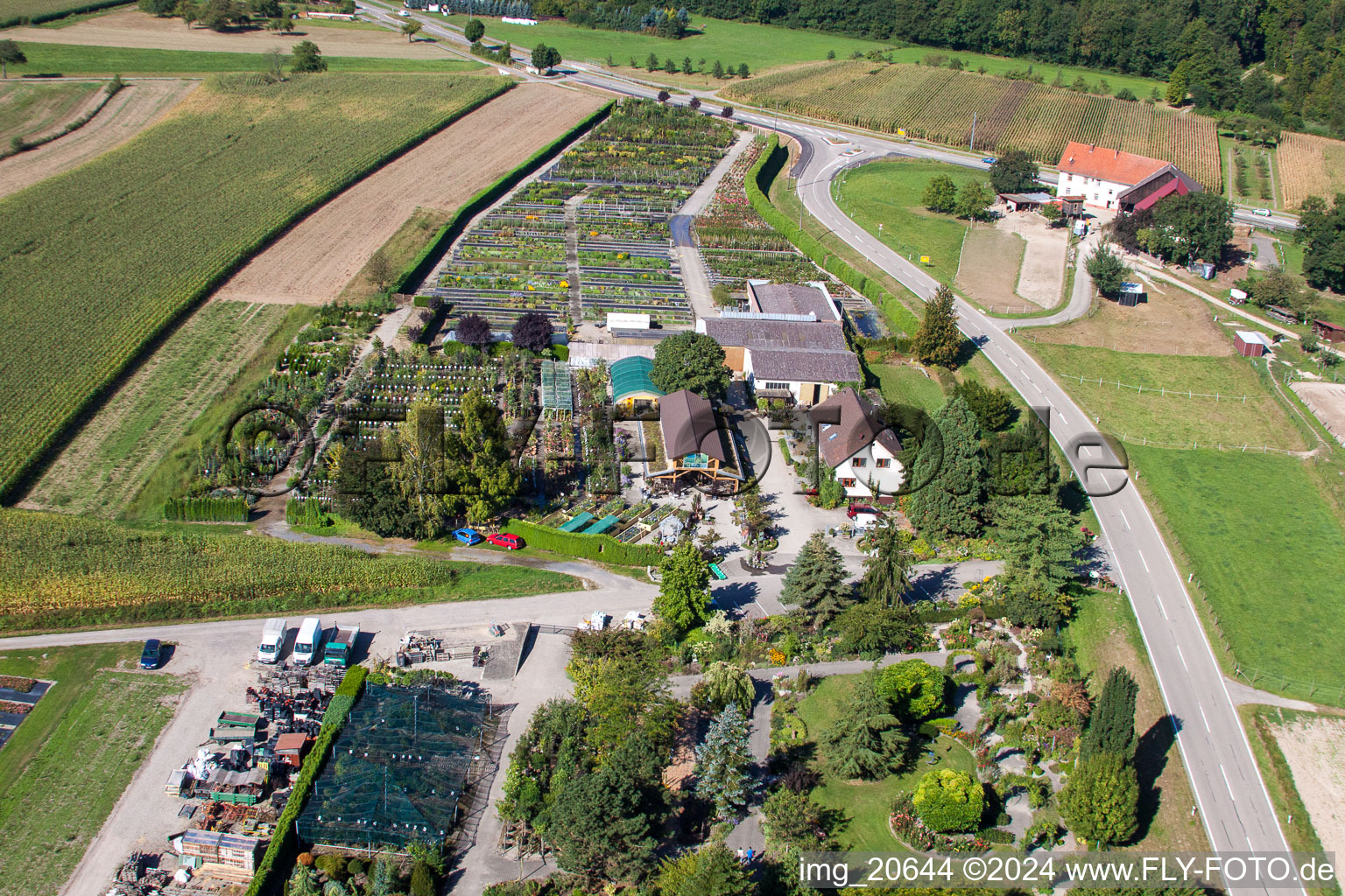 Vue aérienne de Zones de toit en verre dans les rangées de serres pour faire pousser des fleurs de Garden Times Black à le quartier Bodersweier in Kehl dans le département Bade-Wurtemberg, Allemagne
