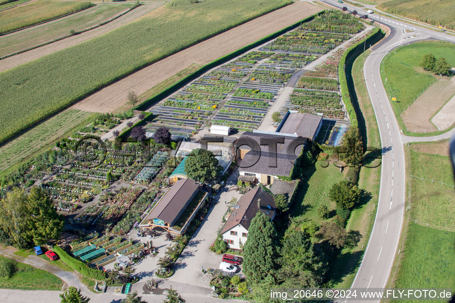 Vue d'oiseau de Temps de jardin noir à le quartier Bodersweier in Kehl dans le département Bade-Wurtemberg, Allemagne