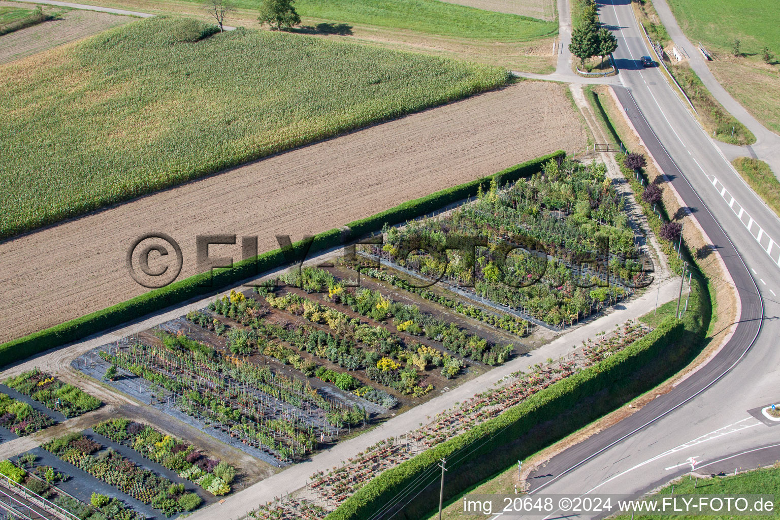 Temps de jardin noir à le quartier Bodersweier in Kehl dans le département Bade-Wurtemberg, Allemagne vue du ciel