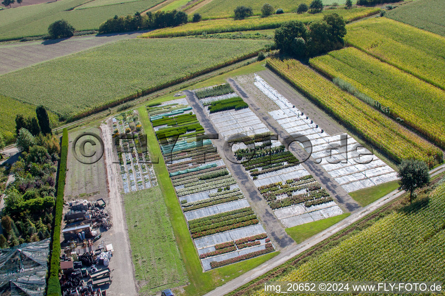 Enregistrement par drone de Temps de jardin noir à le quartier Bodersweier in Kehl dans le département Bade-Wurtemberg, Allemagne