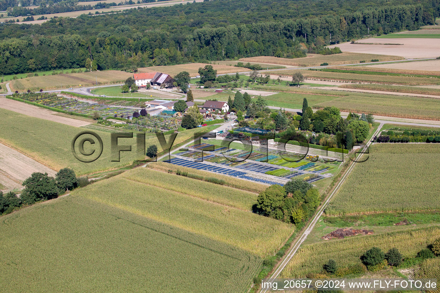 Image drone de Temps de jardin noir à le quartier Bodersweier in Kehl dans le département Bade-Wurtemberg, Allemagne