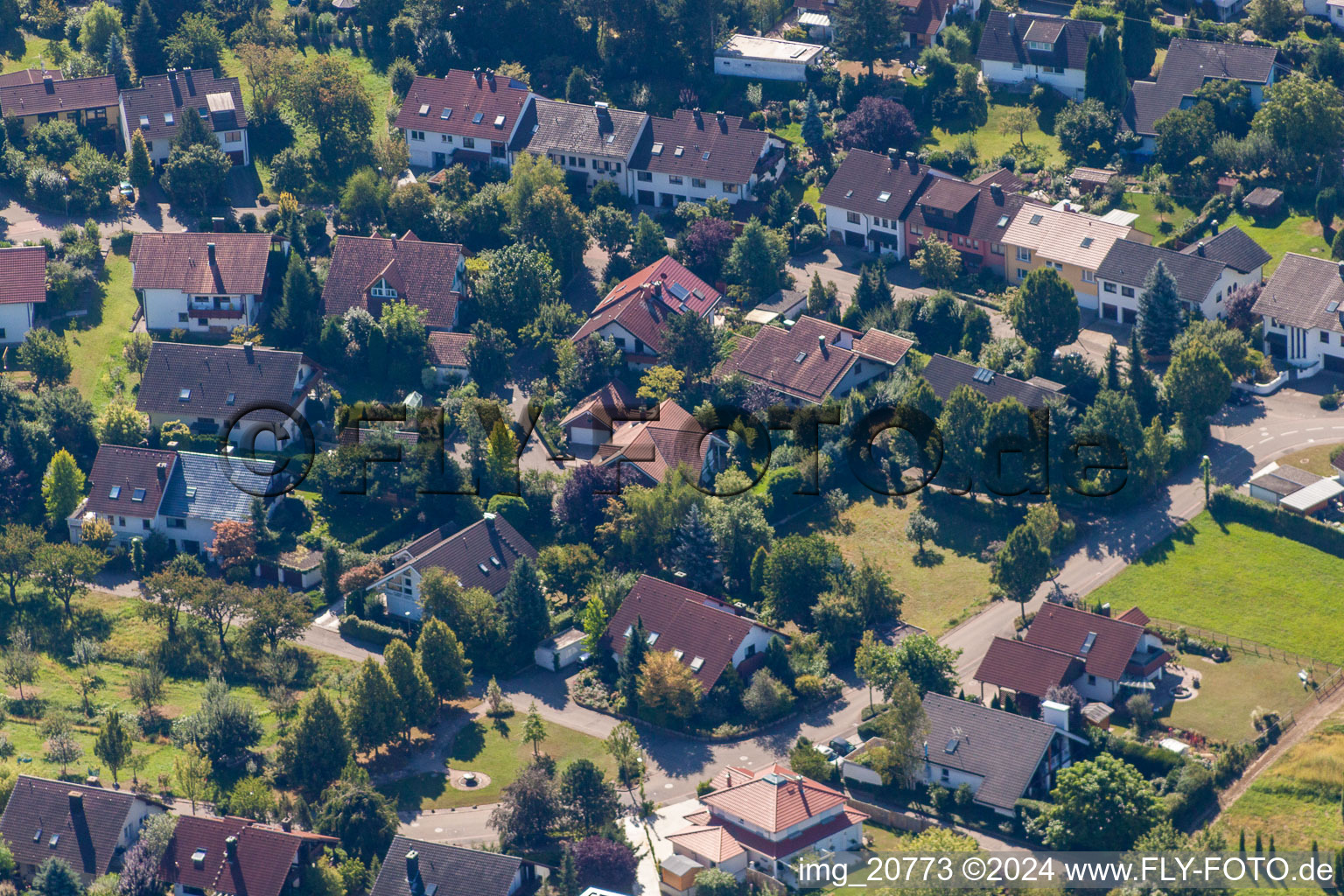 Vue aérienne de Dans les Ries à le quartier Fessenbach in Offenburg dans le département Bade-Wurtemberg, Allemagne