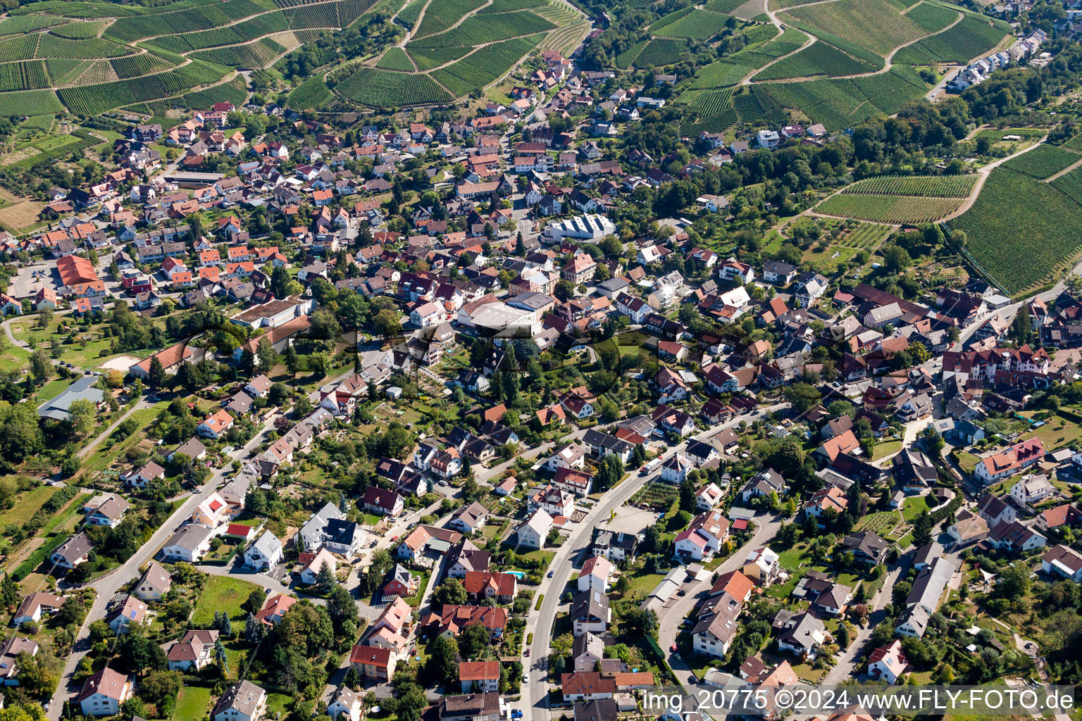 Vue aérienne de Vignobles à Zell-Weierbach à le quartier Zell in Offenburg dans le département Bade-Wurtemberg, Allemagne