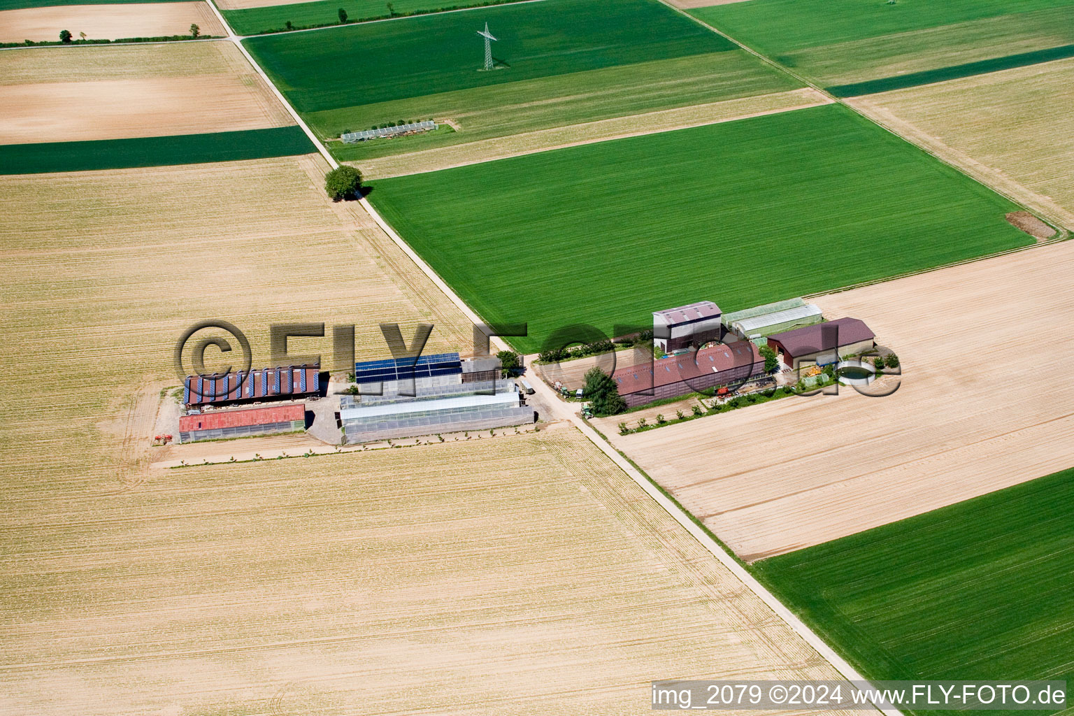 Photographie aérienne de Aussiedlerhof sur le Höhenweg à Kandel dans le département Rhénanie-Palatinat, Allemagne