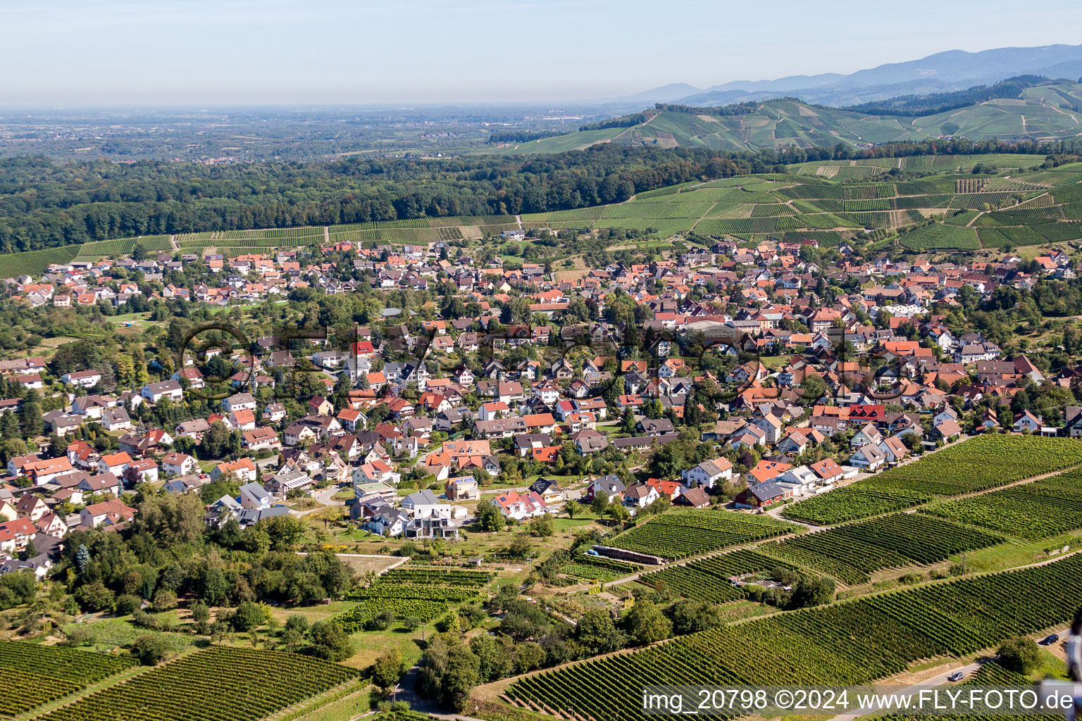 Vue aérienne de Vue de la ville entre vignes à Zell-Weierbach à le quartier Zell in Offenburg dans le département Bade-Wurtemberg, Allemagne