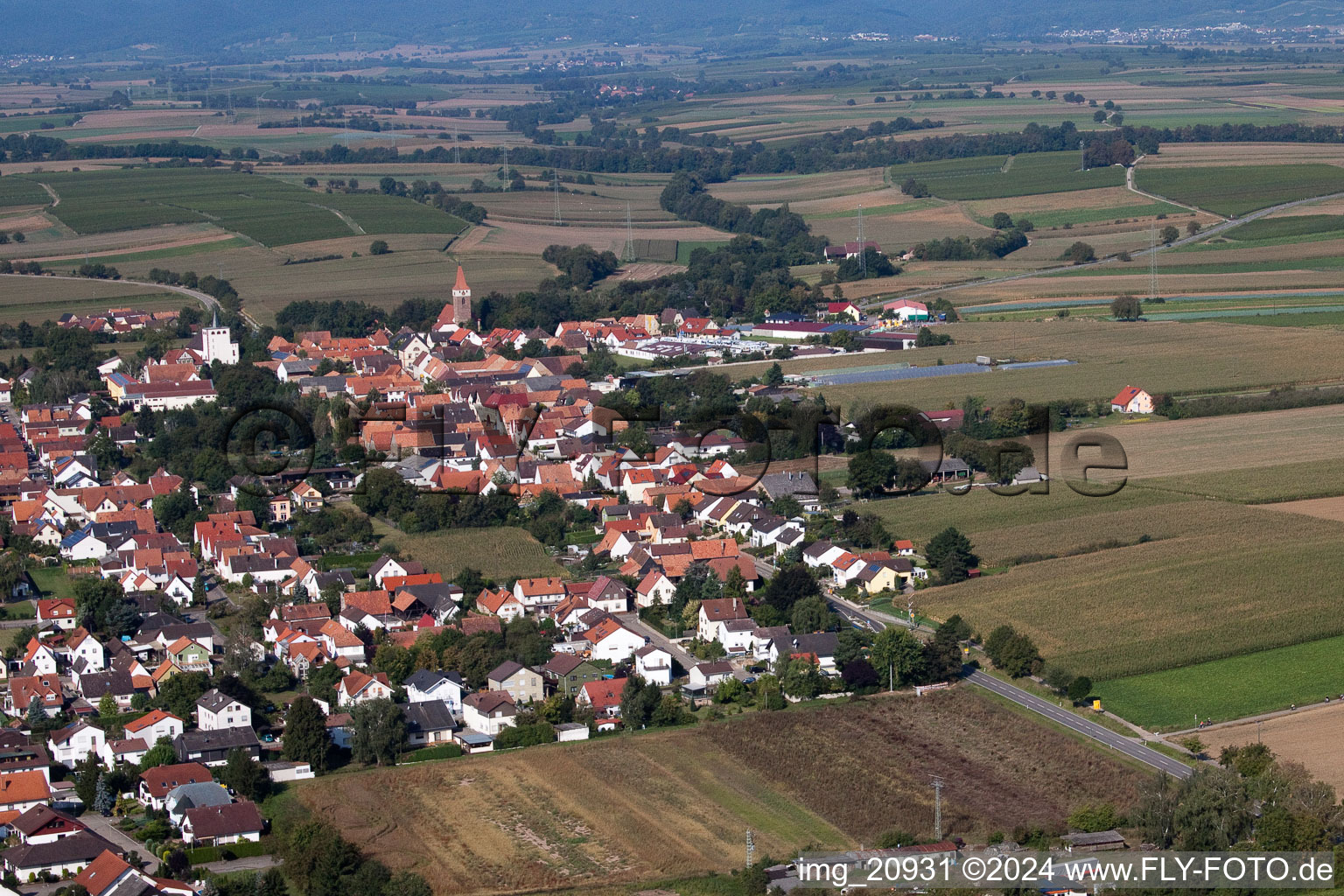 Minfeld dans le département Rhénanie-Palatinat, Allemagne du point de vue du drone