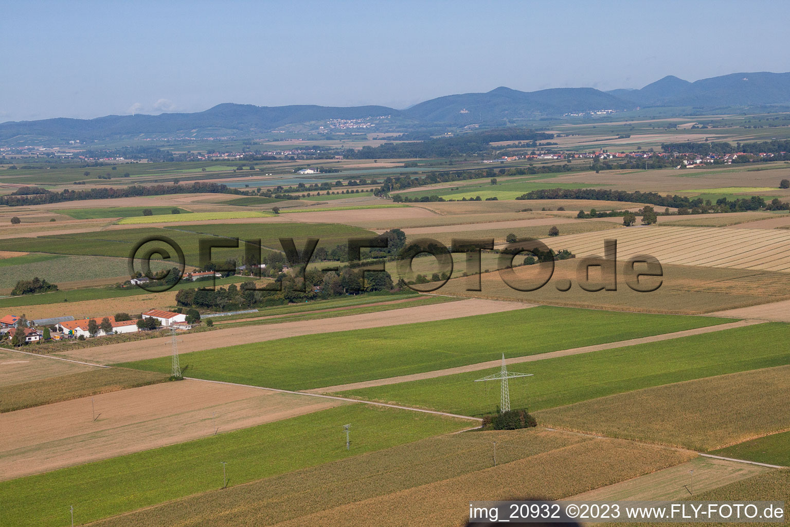 Vue aérienne de Schössberghof à Minfeld dans le département Rhénanie-Palatinat, Allemagne