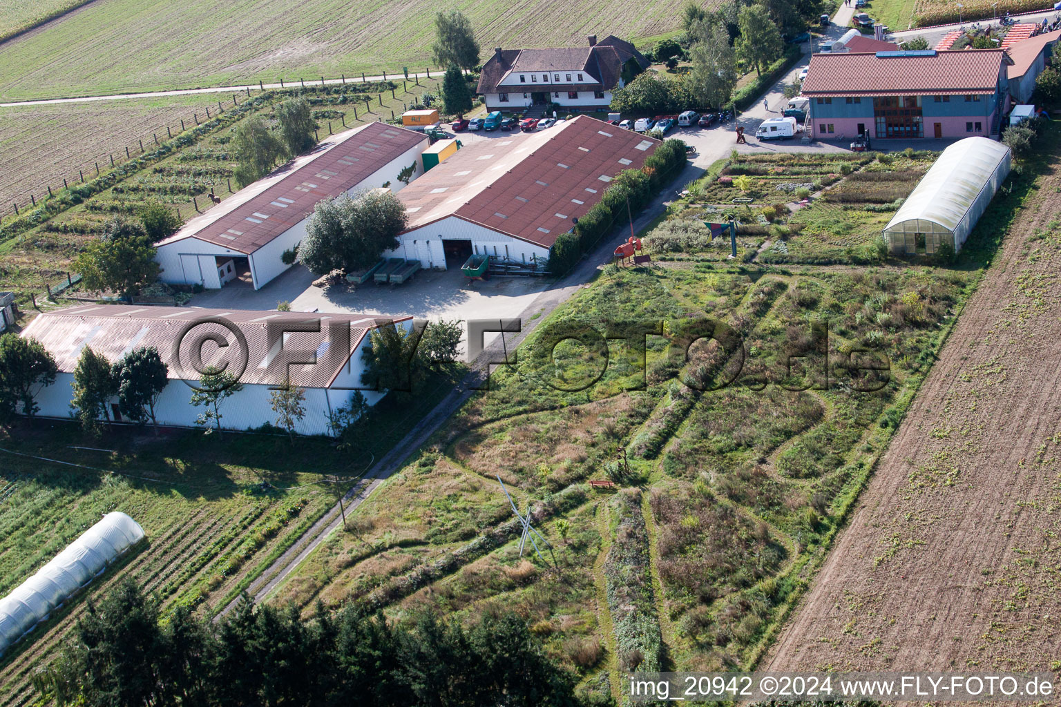 Photographie aérienne de Schössberghof à Minfeld dans le département Rhénanie-Palatinat, Allemagne