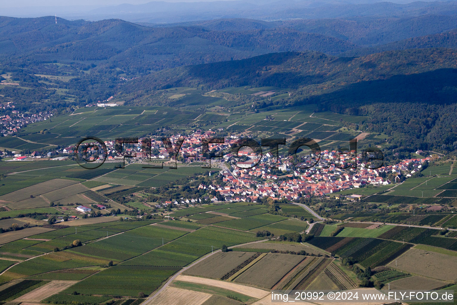 Photographie aérienne de Quartier Rechtenbach in Schweigen-Rechtenbach dans le département Rhénanie-Palatinat, Allemagne