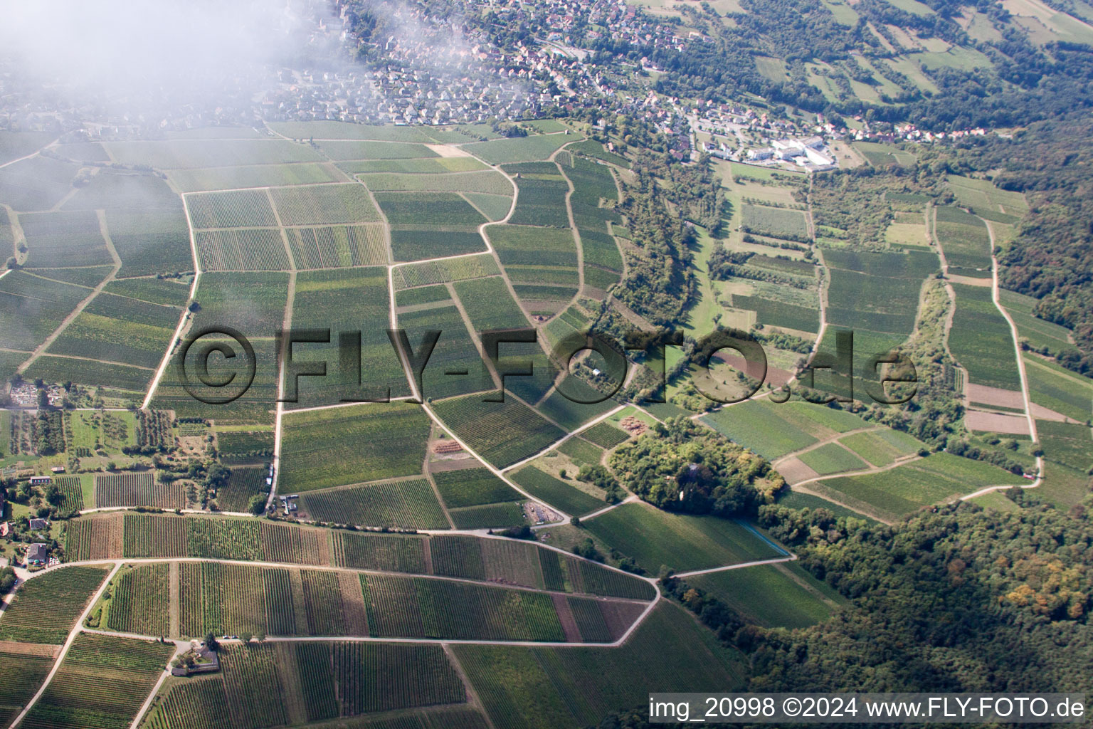 Sonnenberg à le quartier Schweigen in Schweigen-Rechtenbach dans le département Rhénanie-Palatinat, Allemagne vue d'en haut