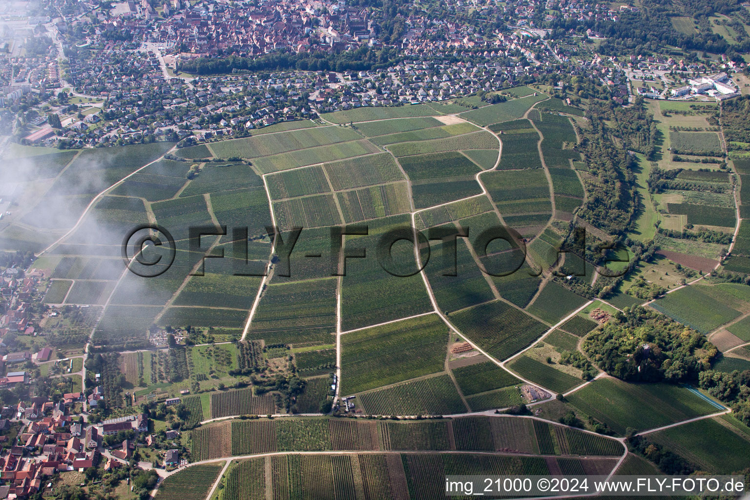 Vue d'oiseau de Sonnenberg à le quartier Schweigen in Schweigen-Rechtenbach dans le département Rhénanie-Palatinat, Allemagne