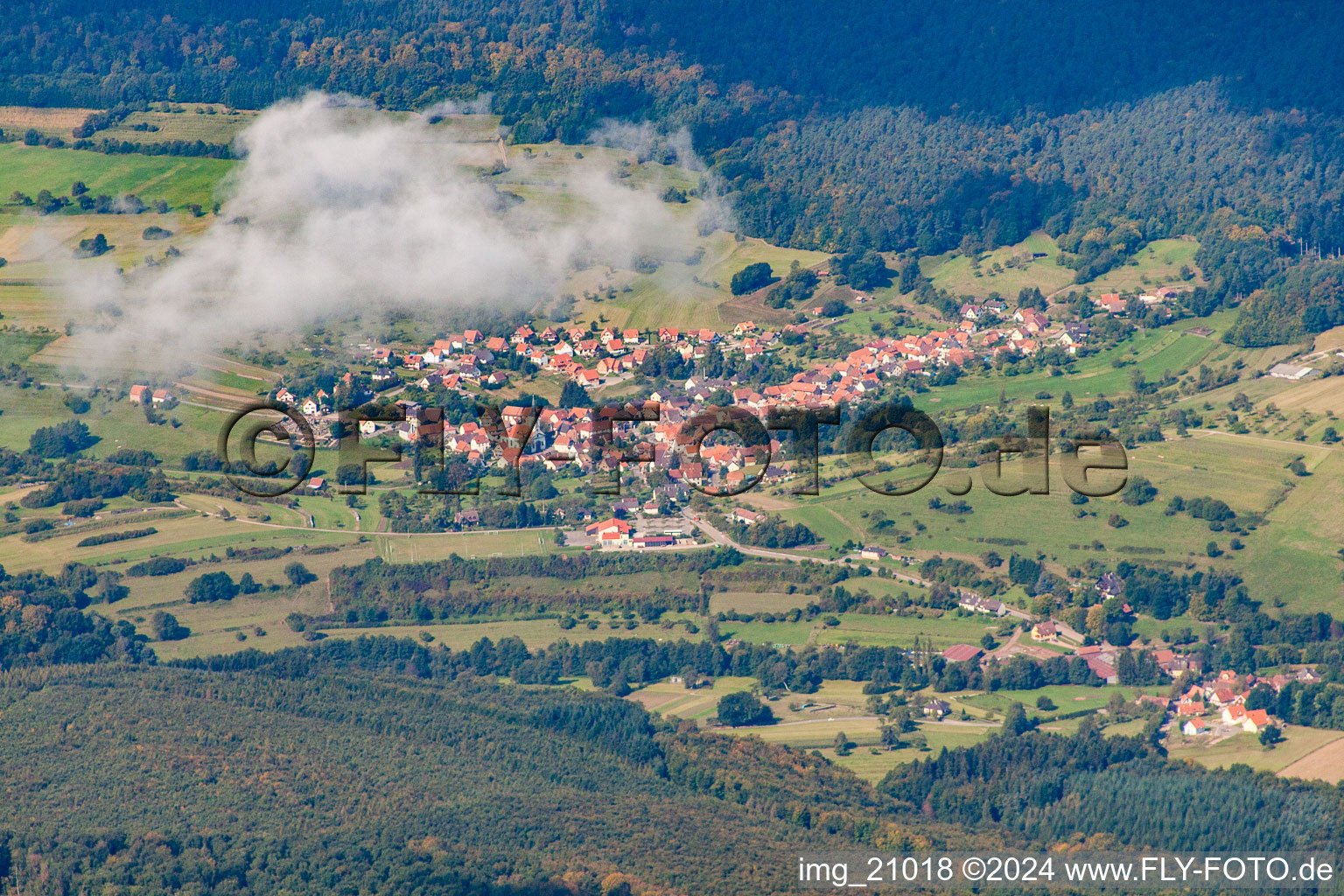 Vue d'oiseau de Wingen dans le département Bas Rhin, France