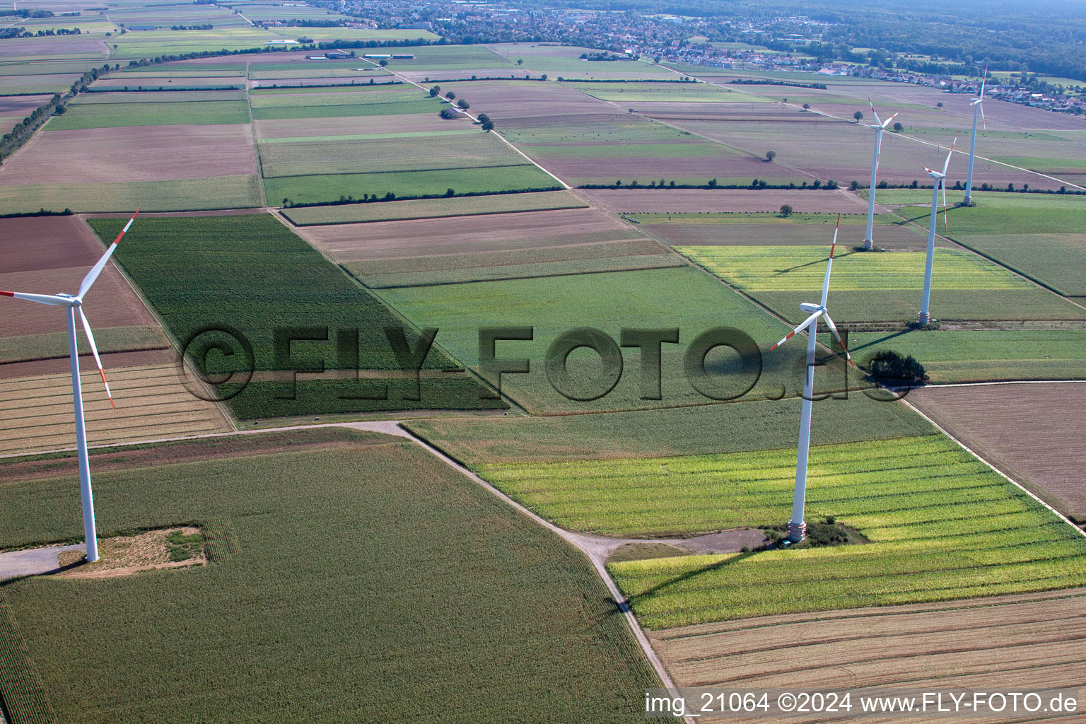 Éoliennes à Minfeld dans le département Rhénanie-Palatinat, Allemagne vue d'en haut