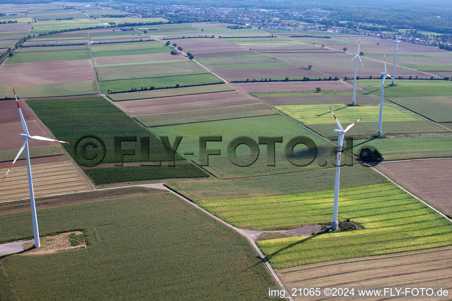 Éoliennes à Minfeld dans le département Rhénanie-Palatinat, Allemagne depuis l'avion