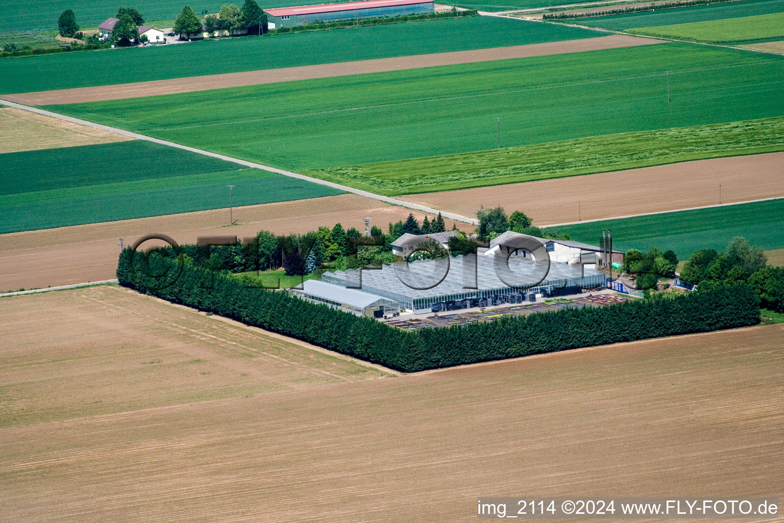 Vue aérienne de Blättnerhof à Steinweiler dans le département Rhénanie-Palatinat, Allemagne