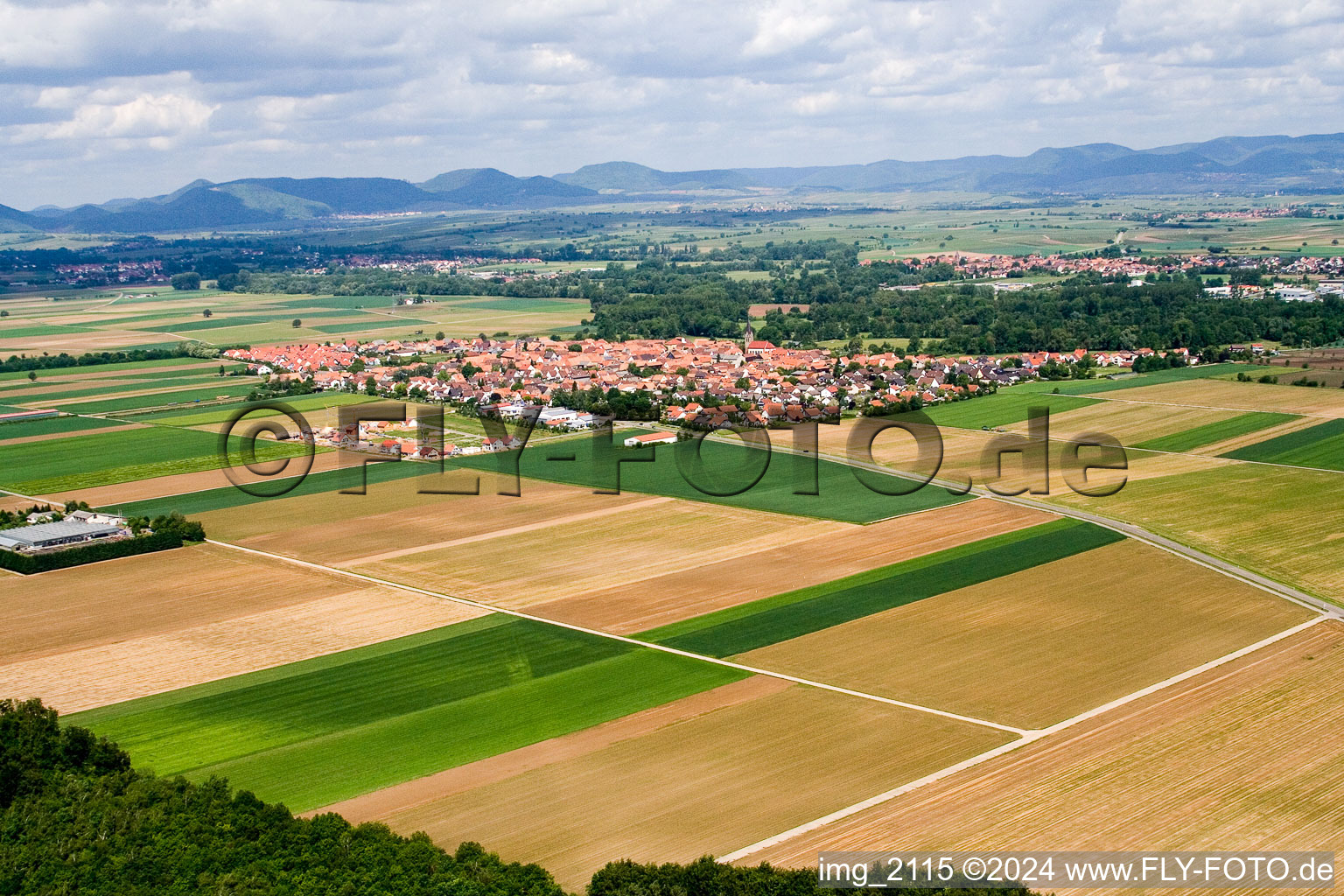 Photographie aérienne de Steinweiler dans le département Rhénanie-Palatinat, Allemagne