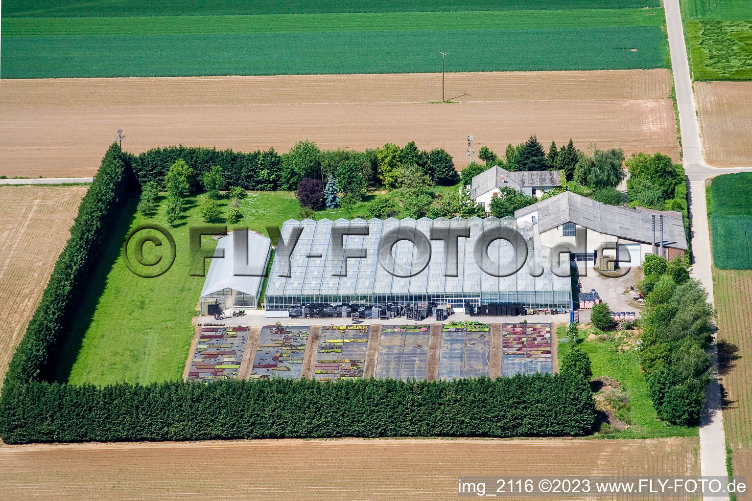 Vue aérienne de Blättnerhof à Steinweiler dans le département Rhénanie-Palatinat, Allemagne