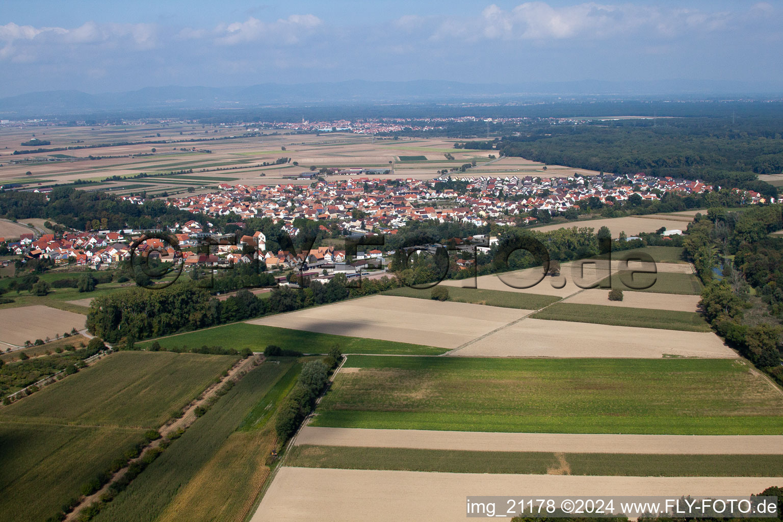 Photographie aérienne de Champs agricoles et surfaces utilisables à Hördt dans le département Rhénanie-Palatinat, Allemagne