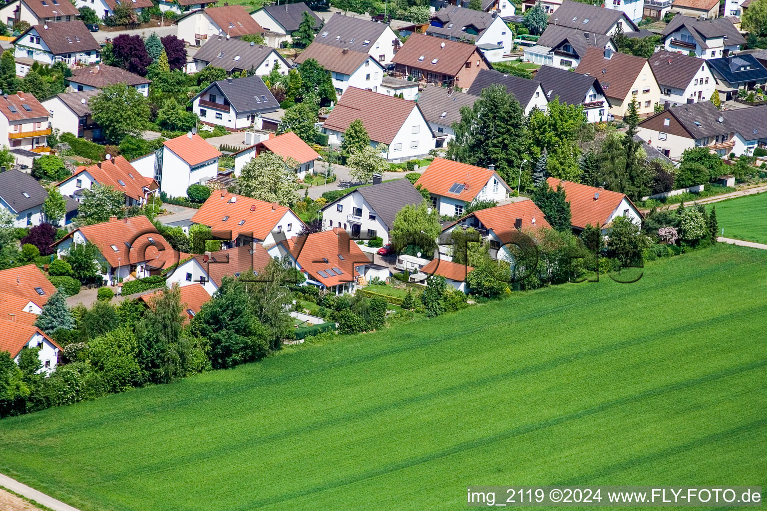 Vue aérienne de Klingbachstr. à Steinweiler dans le département Rhénanie-Palatinat, Allemagne