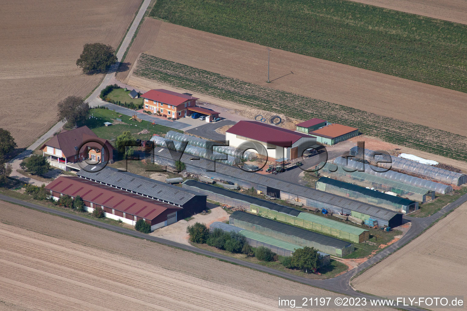 Hördt dans le département Rhénanie-Palatinat, Allemagne d'un drone