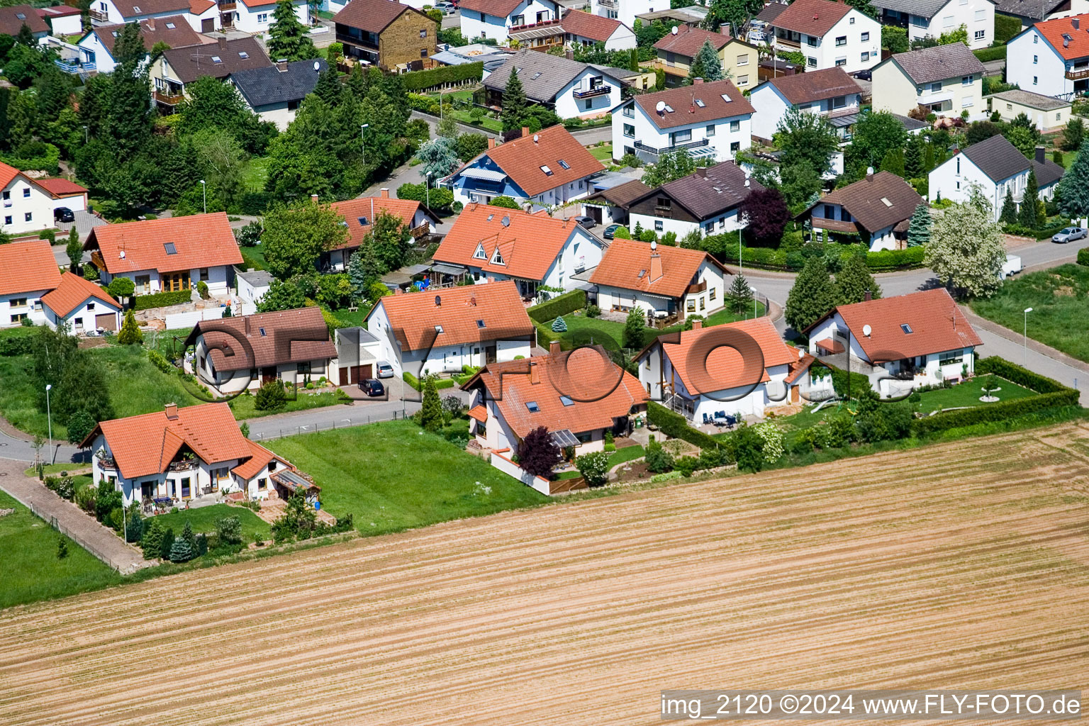 Vue aérienne de Klingbachstr. à Steinweiler dans le département Rhénanie-Palatinat, Allemagne