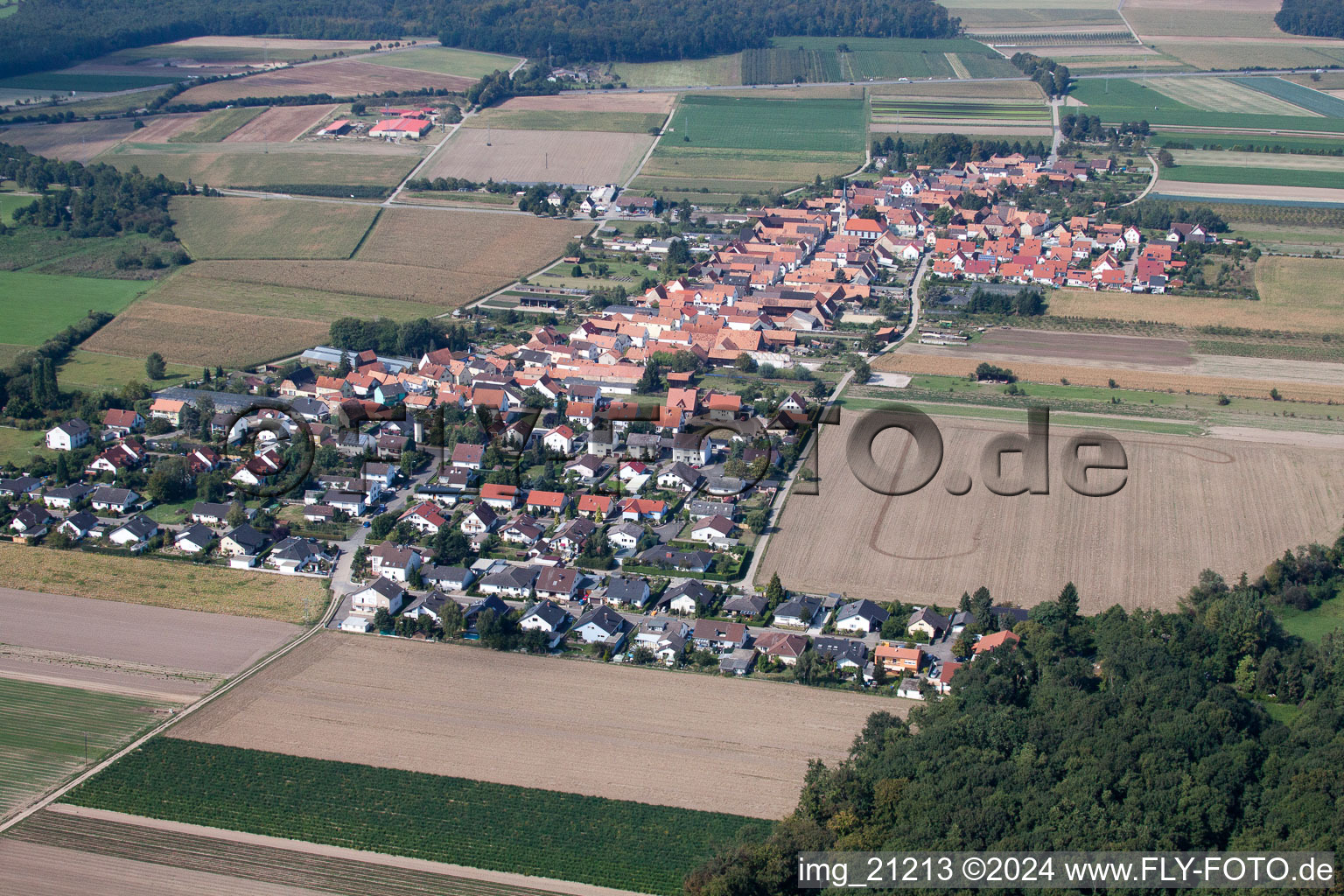 Erlenbach bei Kandel dans le département Rhénanie-Palatinat, Allemagne vu d'un drone