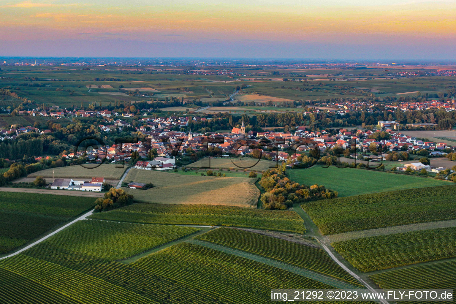 Quartier Ingenheim in Billigheim-Ingenheim dans le département Rhénanie-Palatinat, Allemagne du point de vue du drone