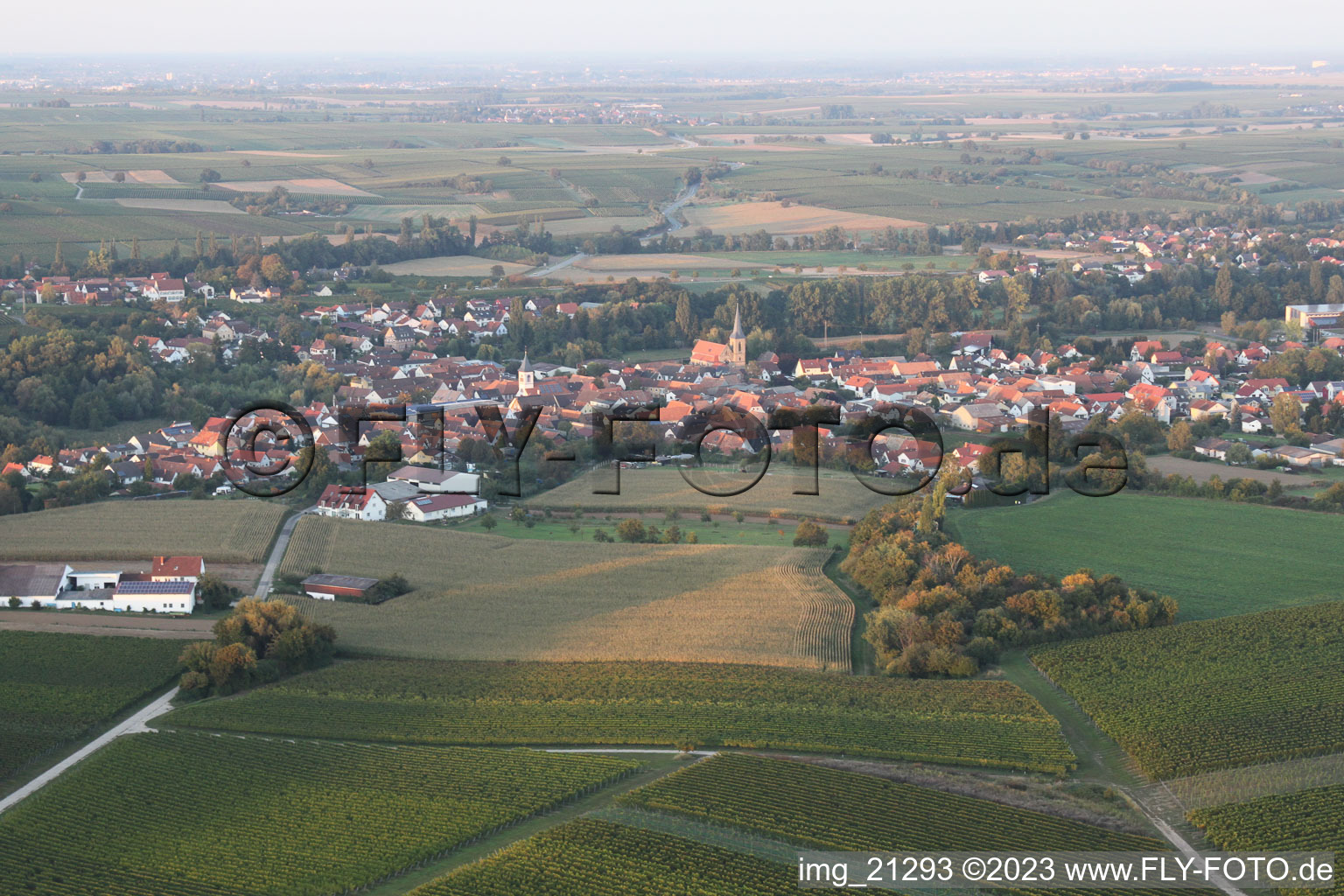 Quartier Ingenheim in Billigheim-Ingenheim dans le département Rhénanie-Palatinat, Allemagne d'un drone