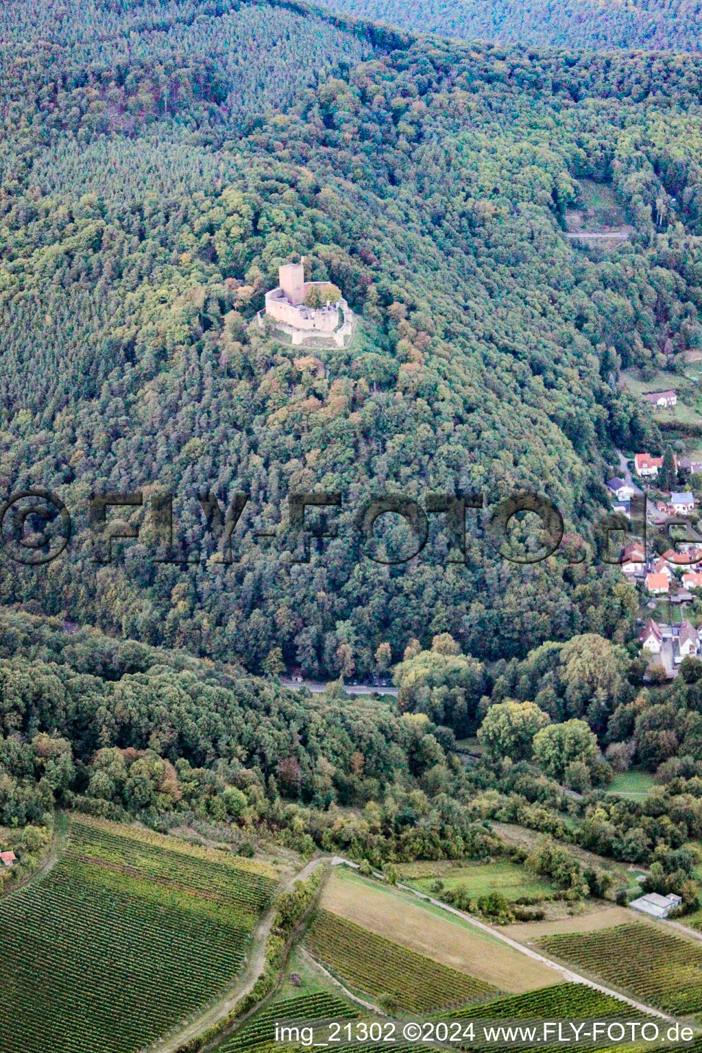 Photographie aérienne de Château de Landeck à Klingenmünster dans le département Rhénanie-Palatinat, Allemagne