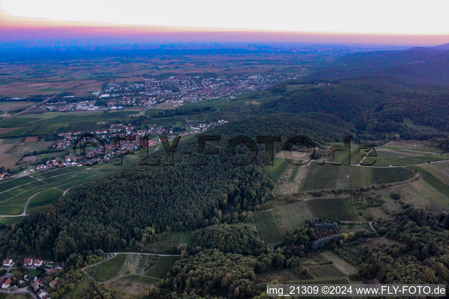 Pleisweiler-Oberhofen dans le département Rhénanie-Palatinat, Allemagne hors des airs