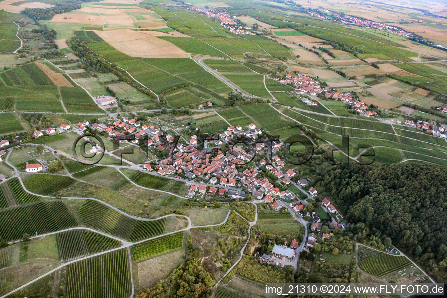 Vue aérienne de Quartier Gleishorbach in Gleiszellen-Gleishorbach dans le département Rhénanie-Palatinat, Allemagne